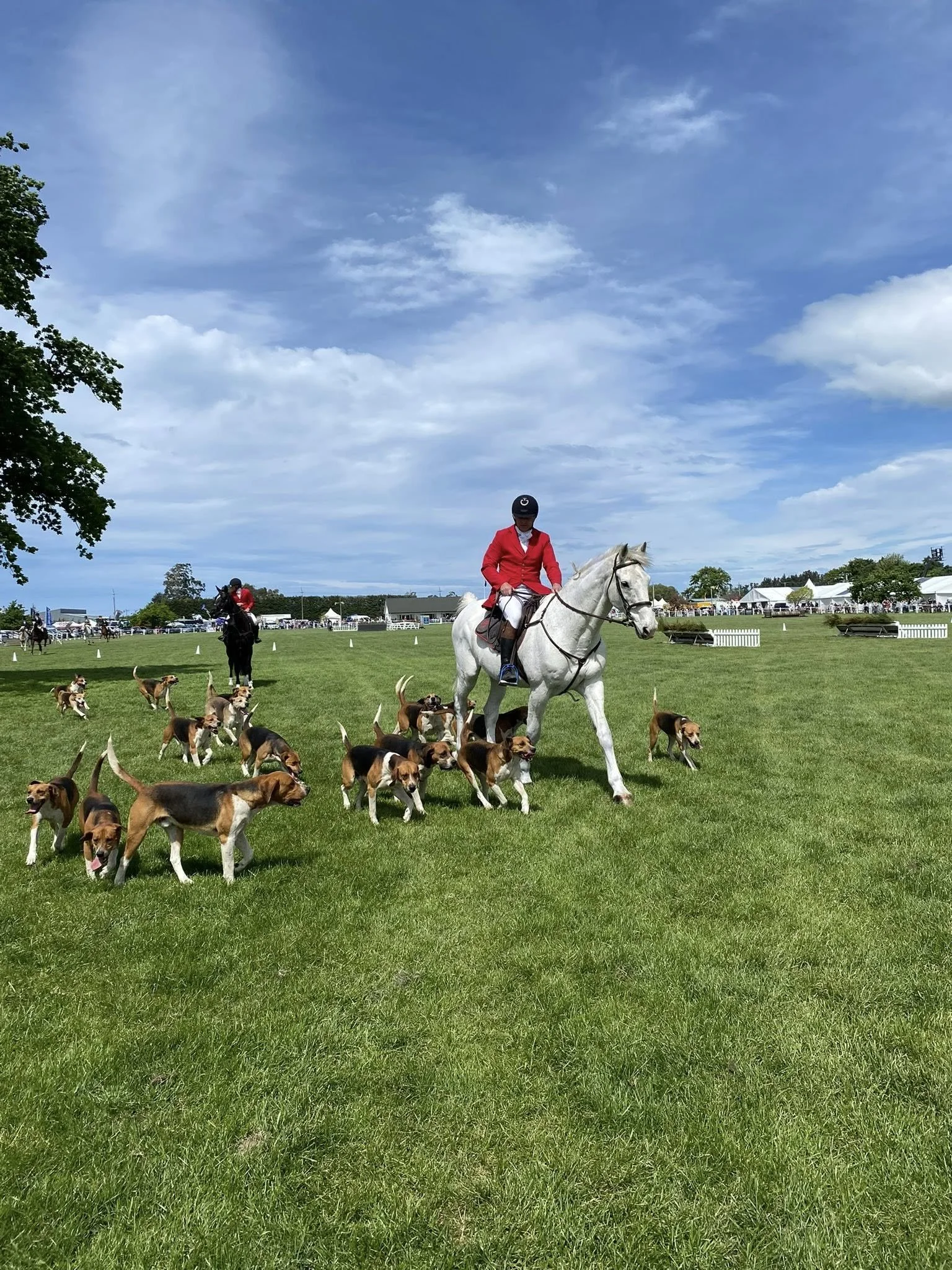Hunting with the Hounds Christchurch Hunt Club