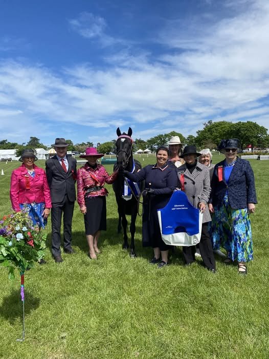 Supreme In Hand Youngstock
Tryphena Carter - Chelsea Lillismith