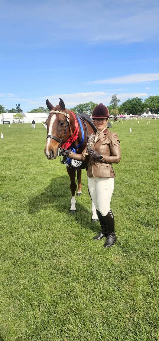 Champion In-hand and Ridden Standardbred
Chanelle Dickie and Bronze Jay