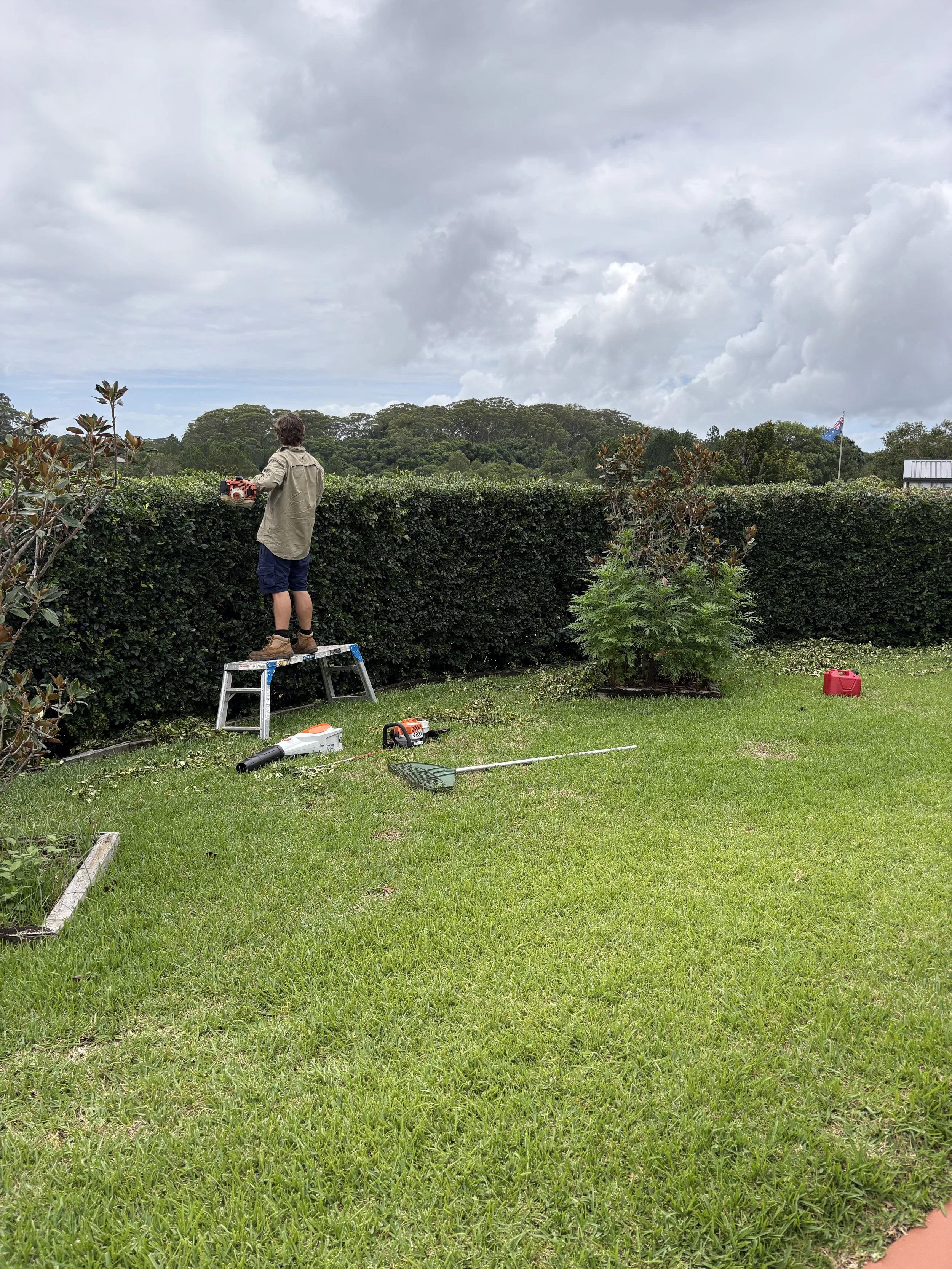Person standing on a step ladder trimming a hedge in a backyard garden with gardening tools and equipment scattered around.