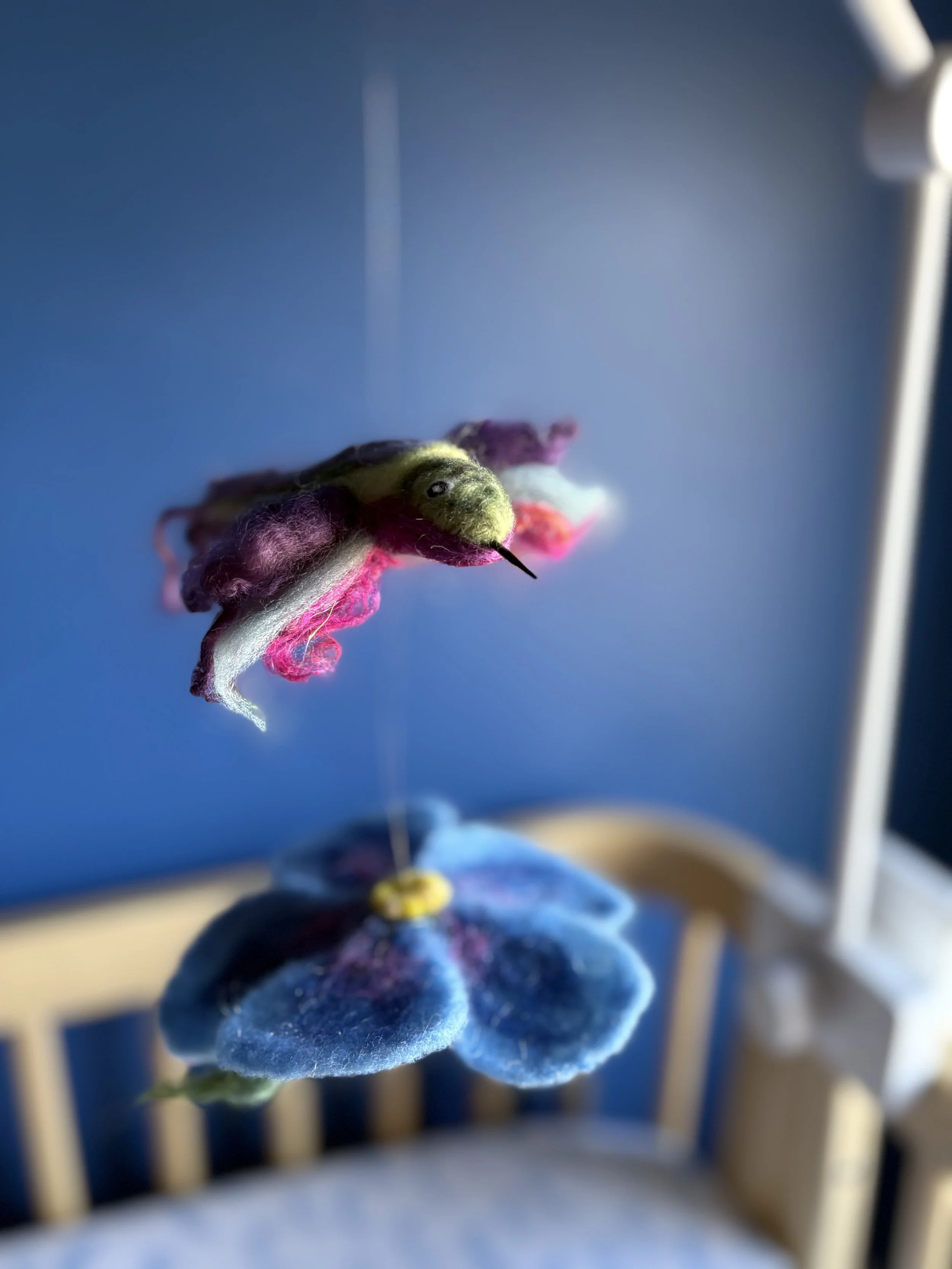IMG_5075.jpeg