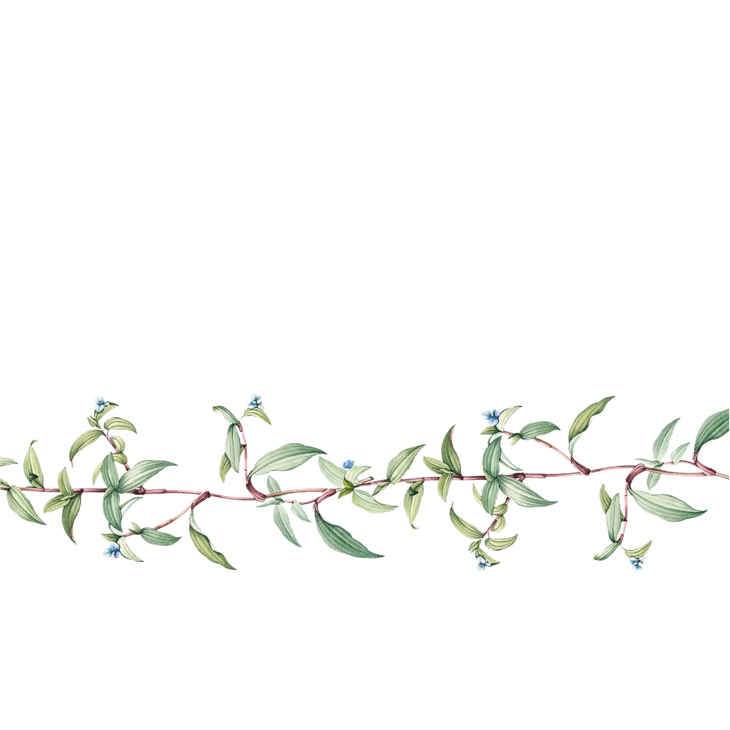 Illustration of a leafy vine with small blue flowers growing along a wire, set against a light gray background.
