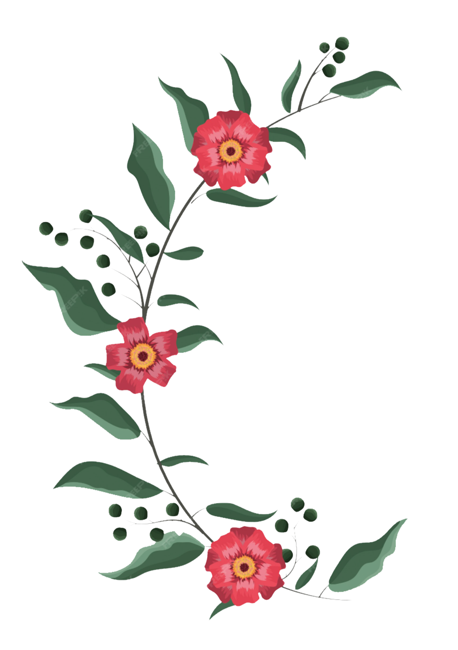 A decorative digital illustration of pink and red flowers with green leaves and buds arranged along a curved stem.
