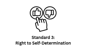 Standard 3.png