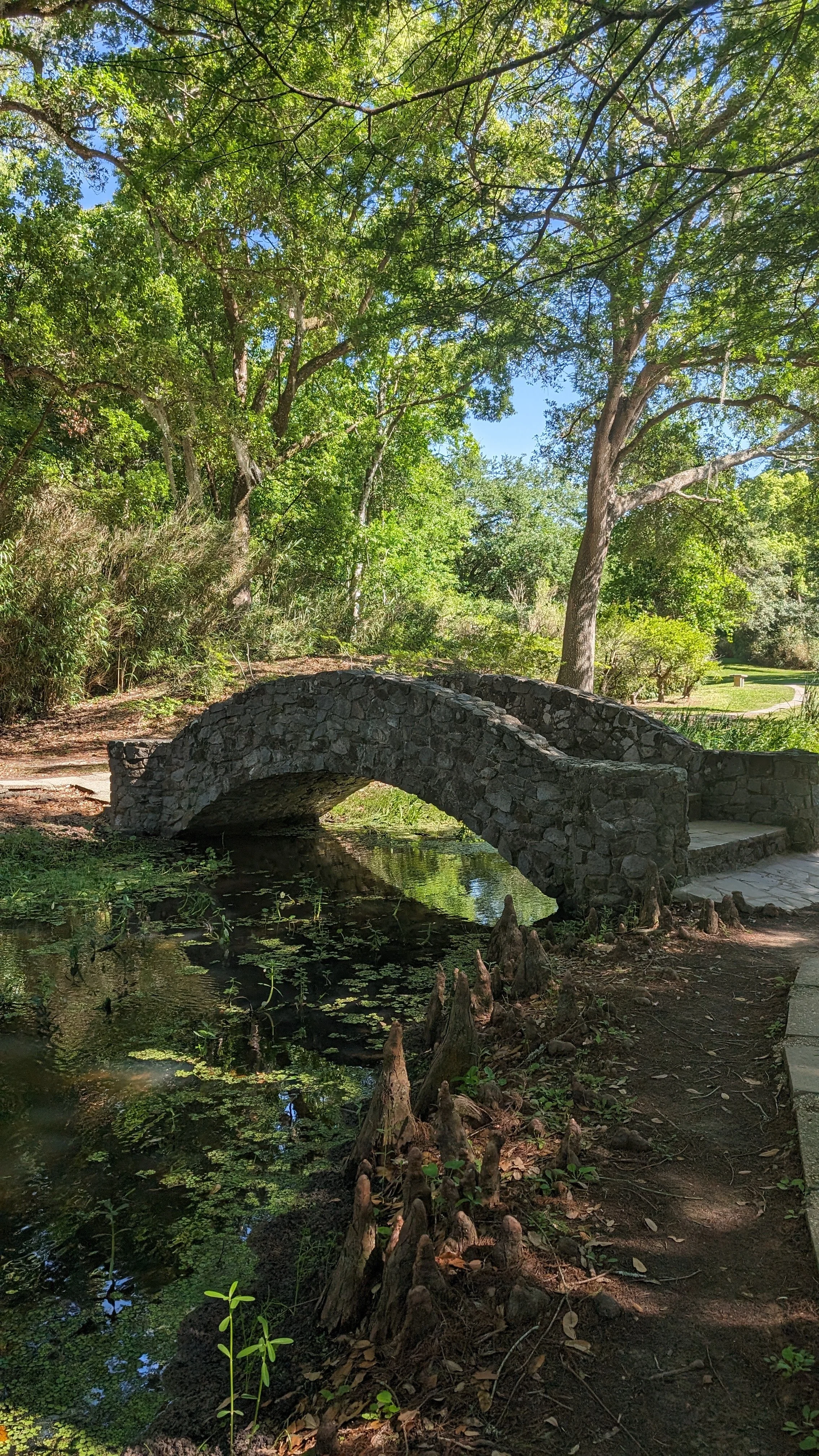 PXL_20240421_211026948.jpg
