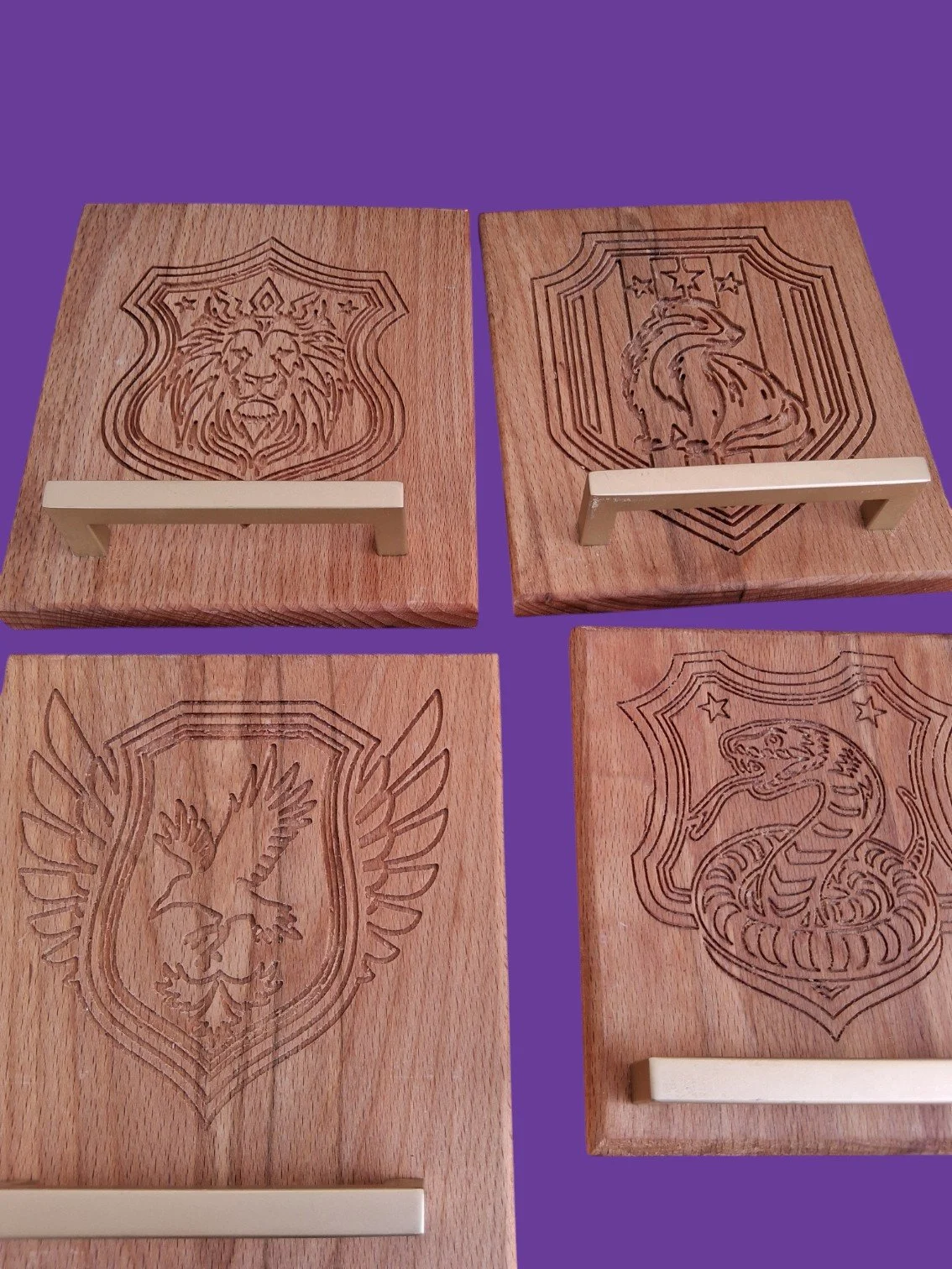 custom inserts Harry Potter-Photoroom.jpg