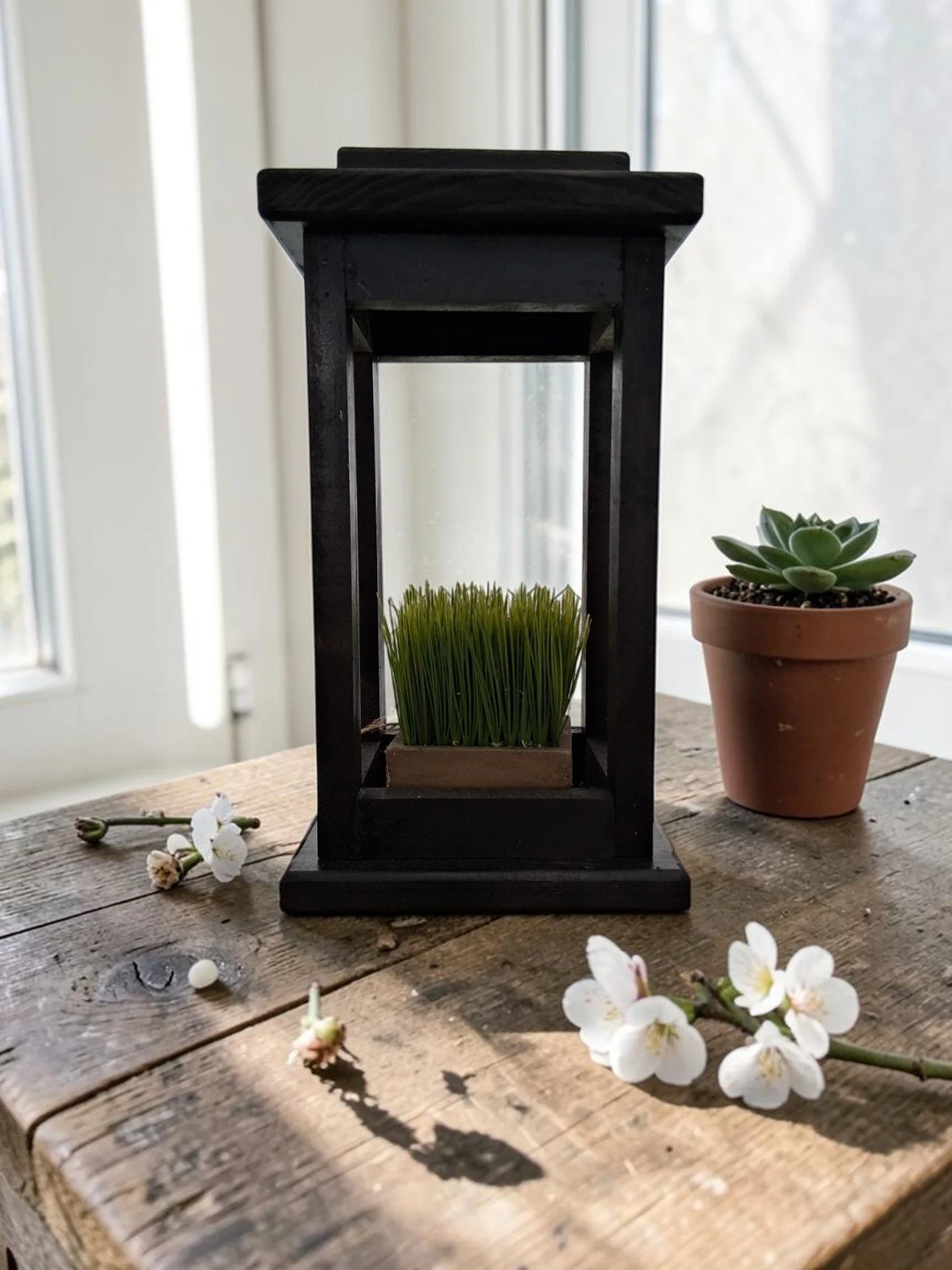 open solar lantern-Photoroom.jpg