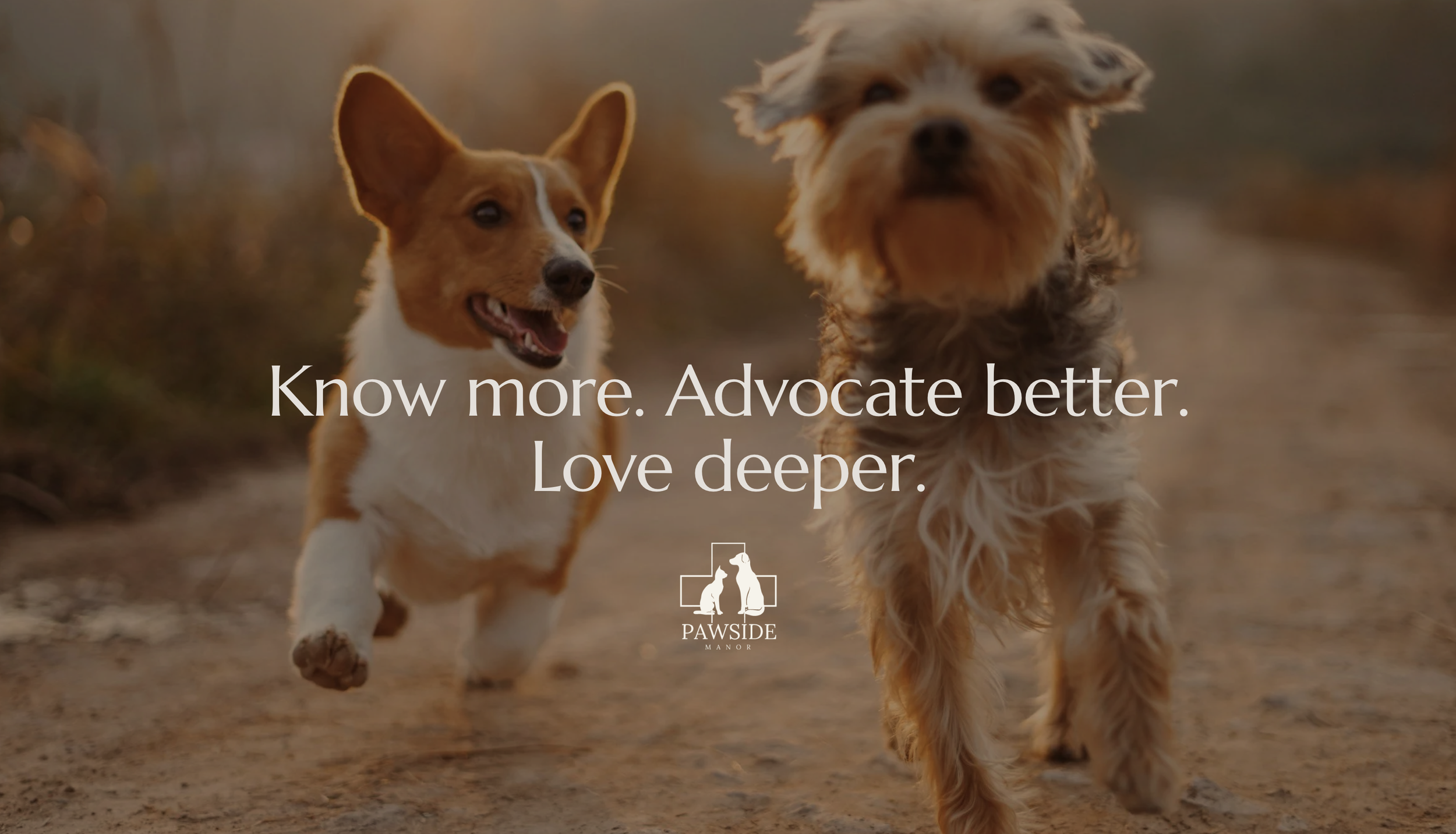 Two dogs running outdoors on a dirt path with a blurred natural background. One is a small, brown and white dog with large ears, and the other is a small, long-haired, mixed-breed dog. Text overlay says: "Know more. Advocate better. Love deeper." with a logo of a dog and a cat silhouette and the words "Pawside Manor."