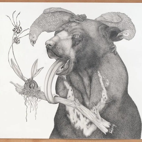 Graphite on paper