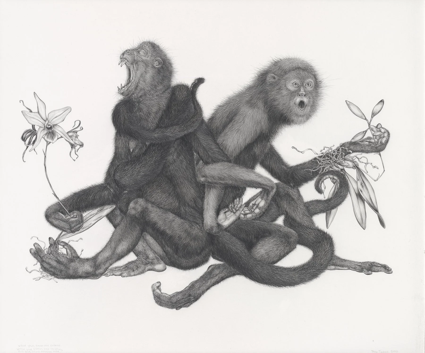 Graphite on paper
