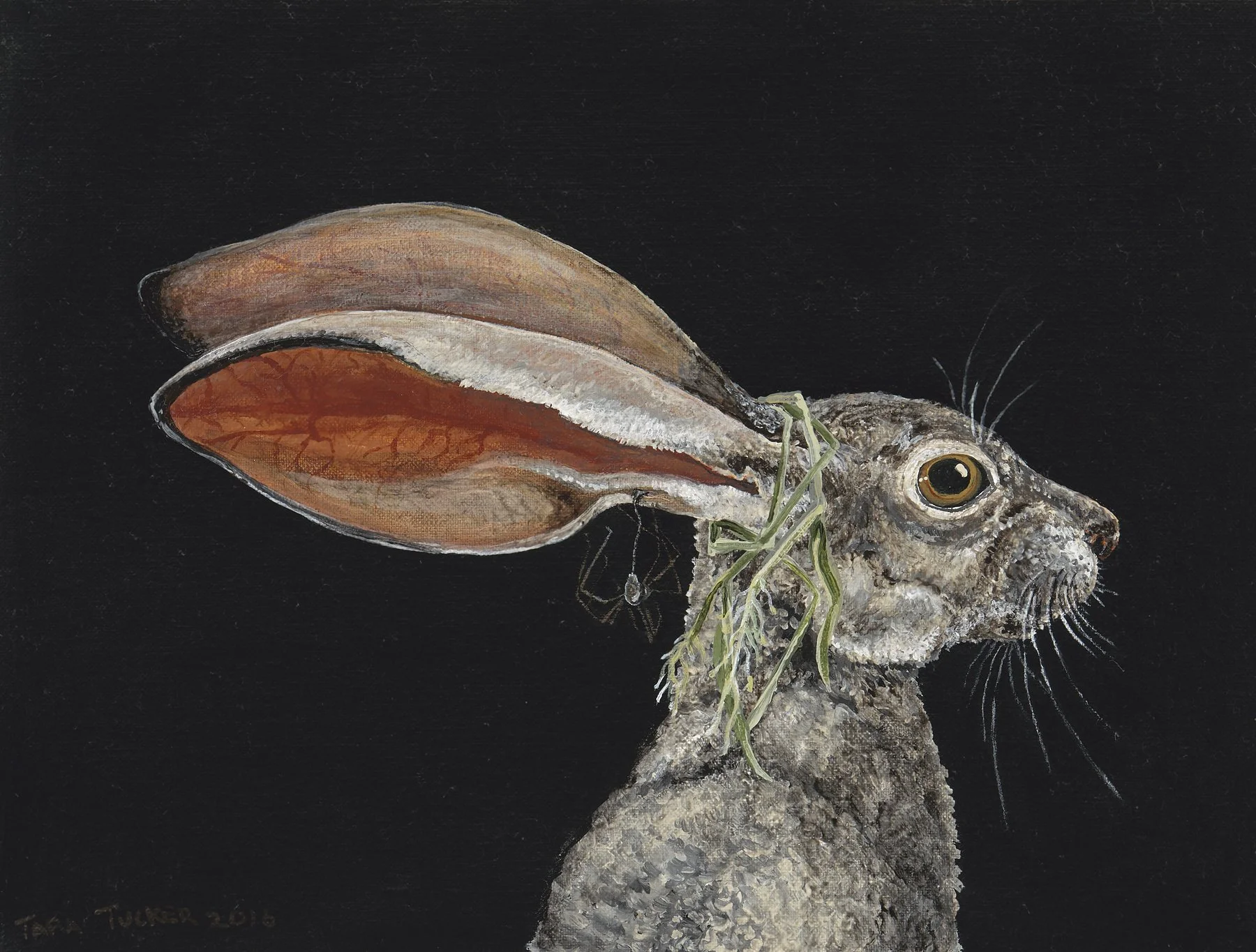 Rabbit with the spider earring
11" H x 15" W
Acrylic paint on linen
2017