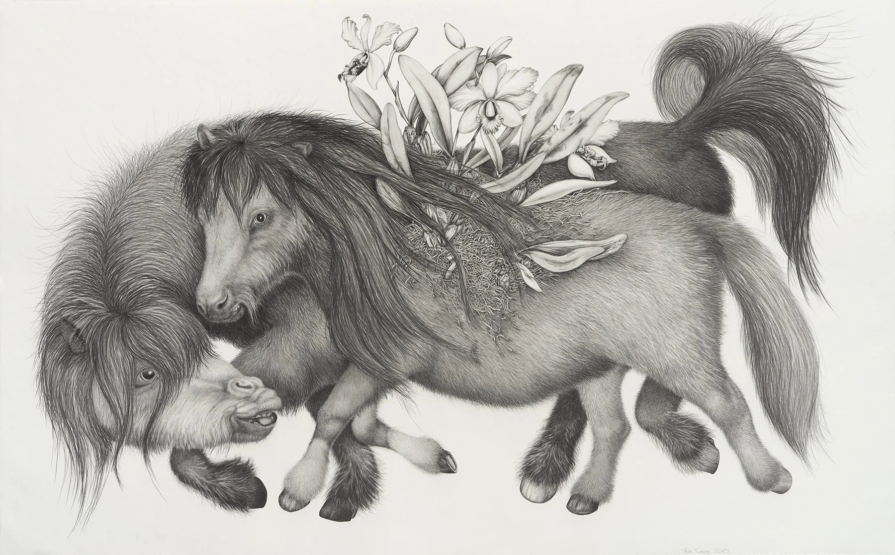 Pocket full'a horses,
40"H x 54"W
Graphite on paper
2015
