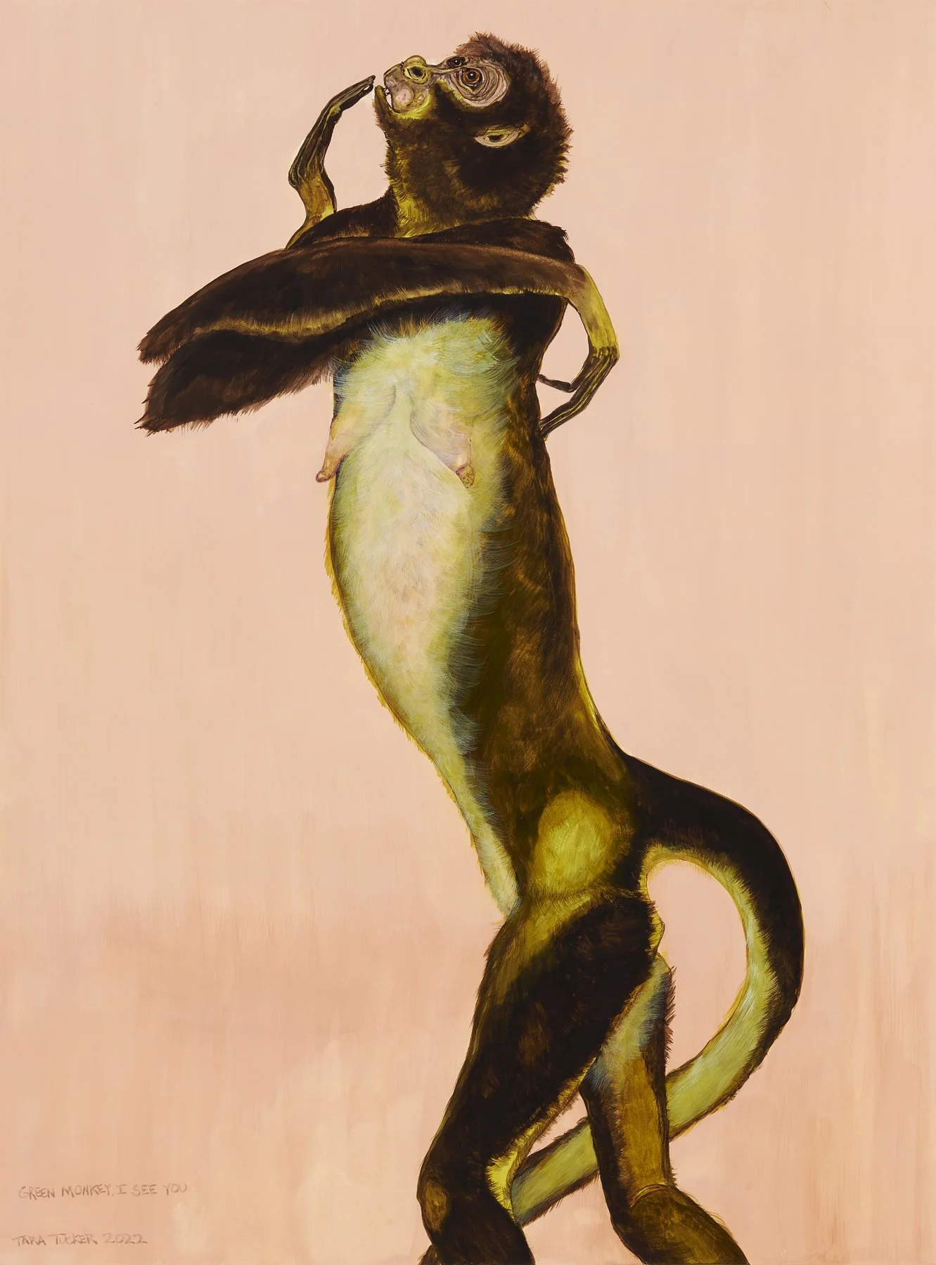 Green monkey, I see you, 
30" H x 22.5" W,
Gouache on paper
2022