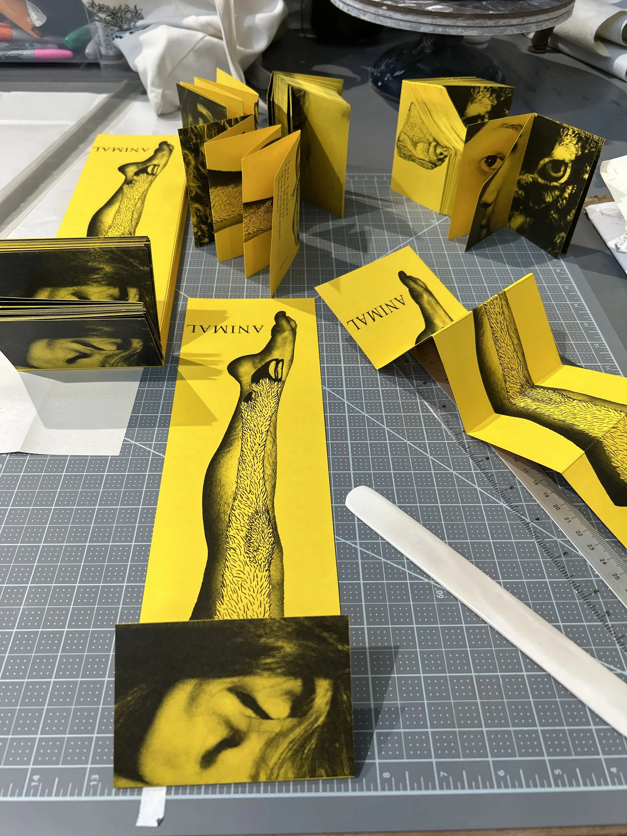 Animal zine, Collaboration with Otto Harris, 2026