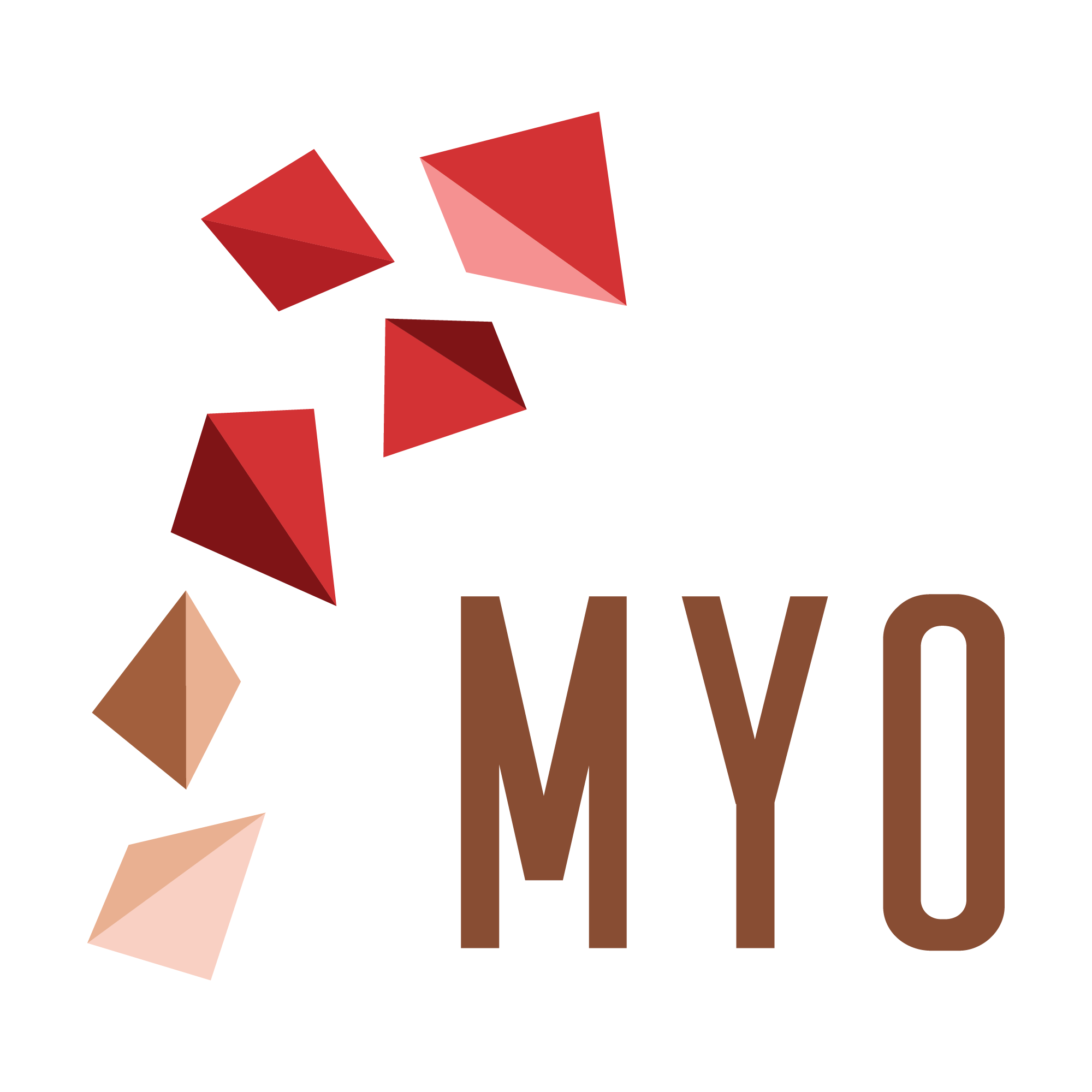 Logo for MYO with a scattered geometric shape design in red, brown, and pink, with the text 'MYO' in brown capital letters.