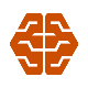 Stylized orange brain icon on a black background.