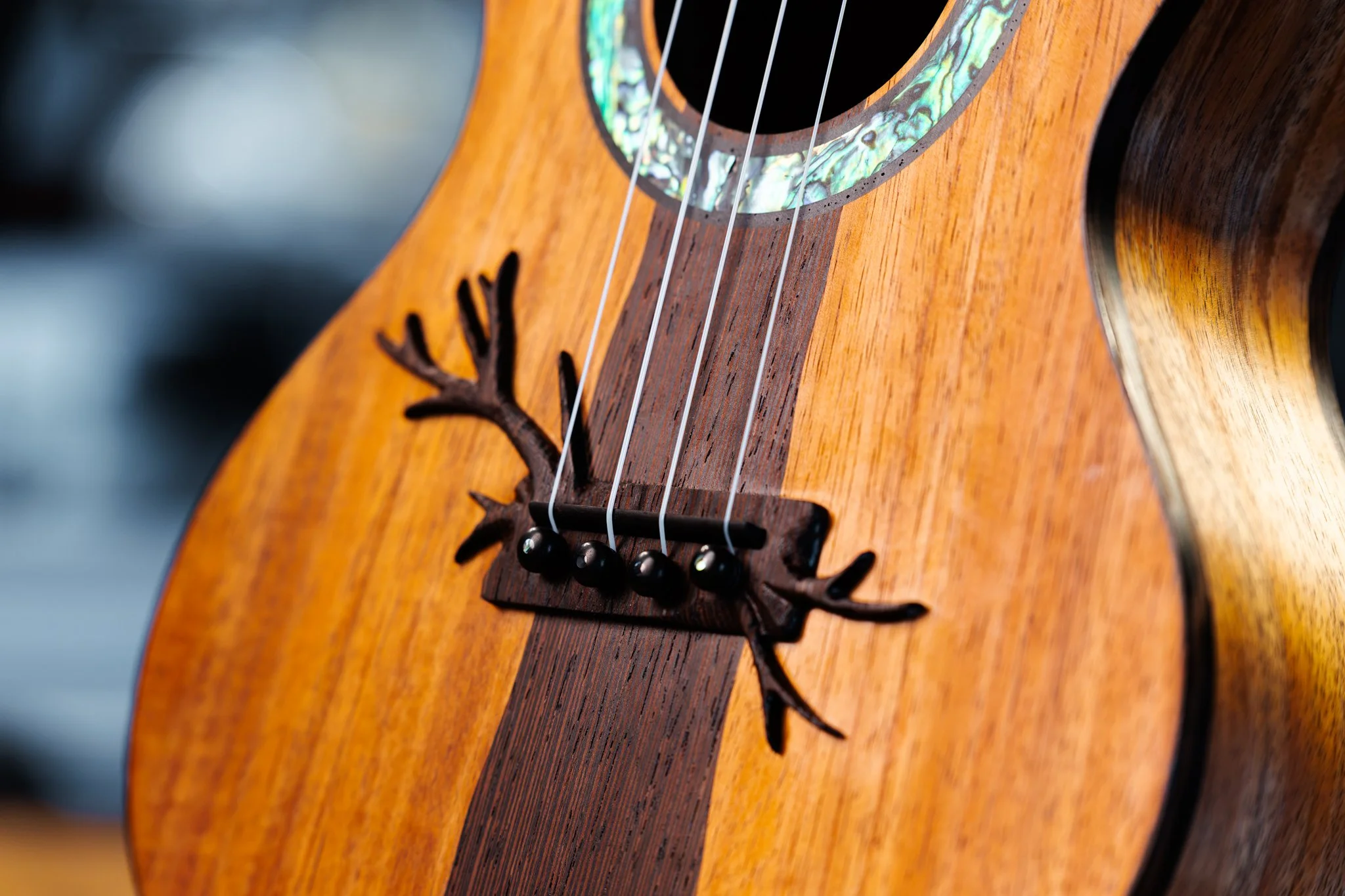 Luto_Ukes_09-2026-32.jpg