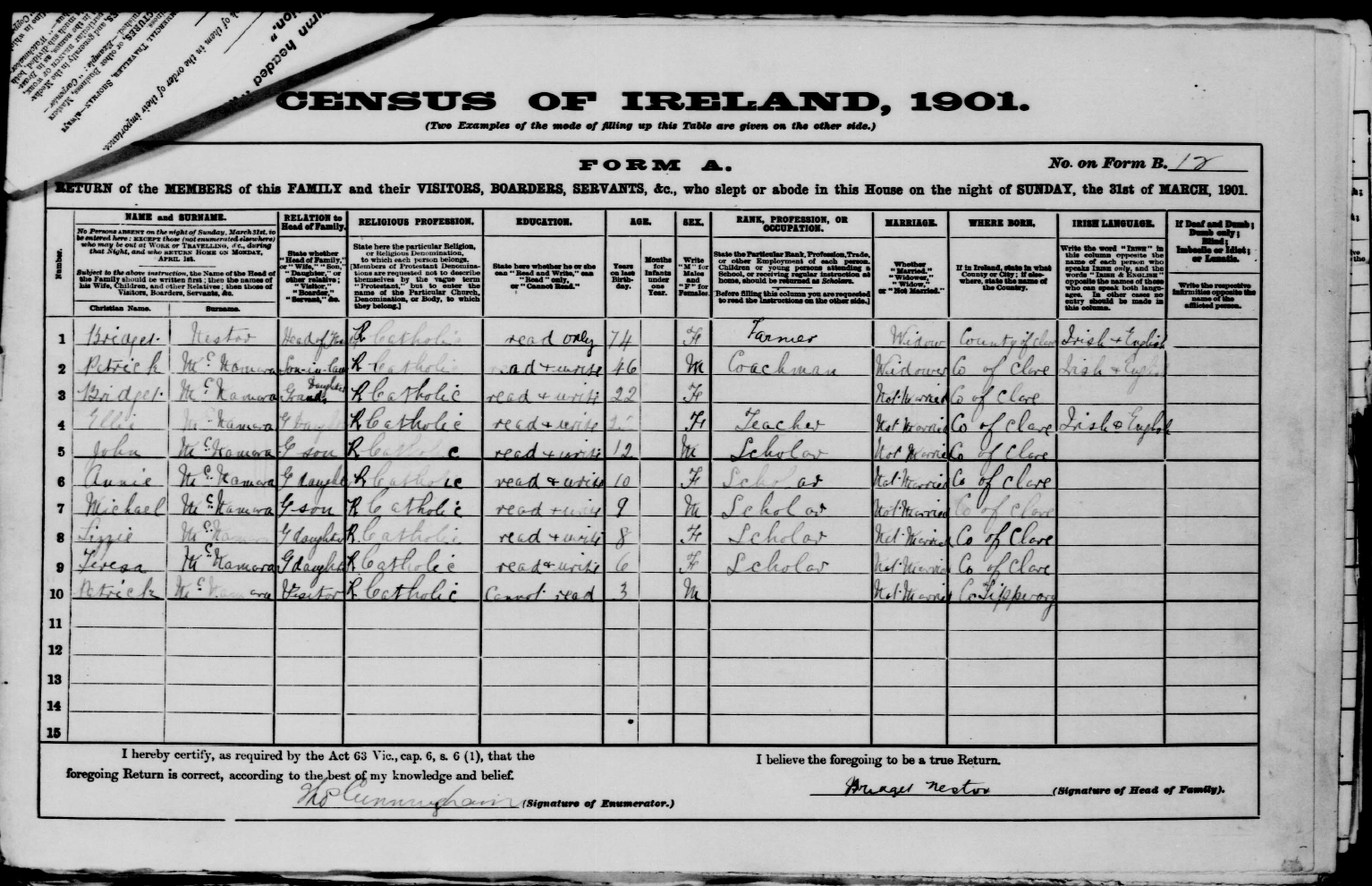 Image of family's census return from the 1901 Census of Ireland.