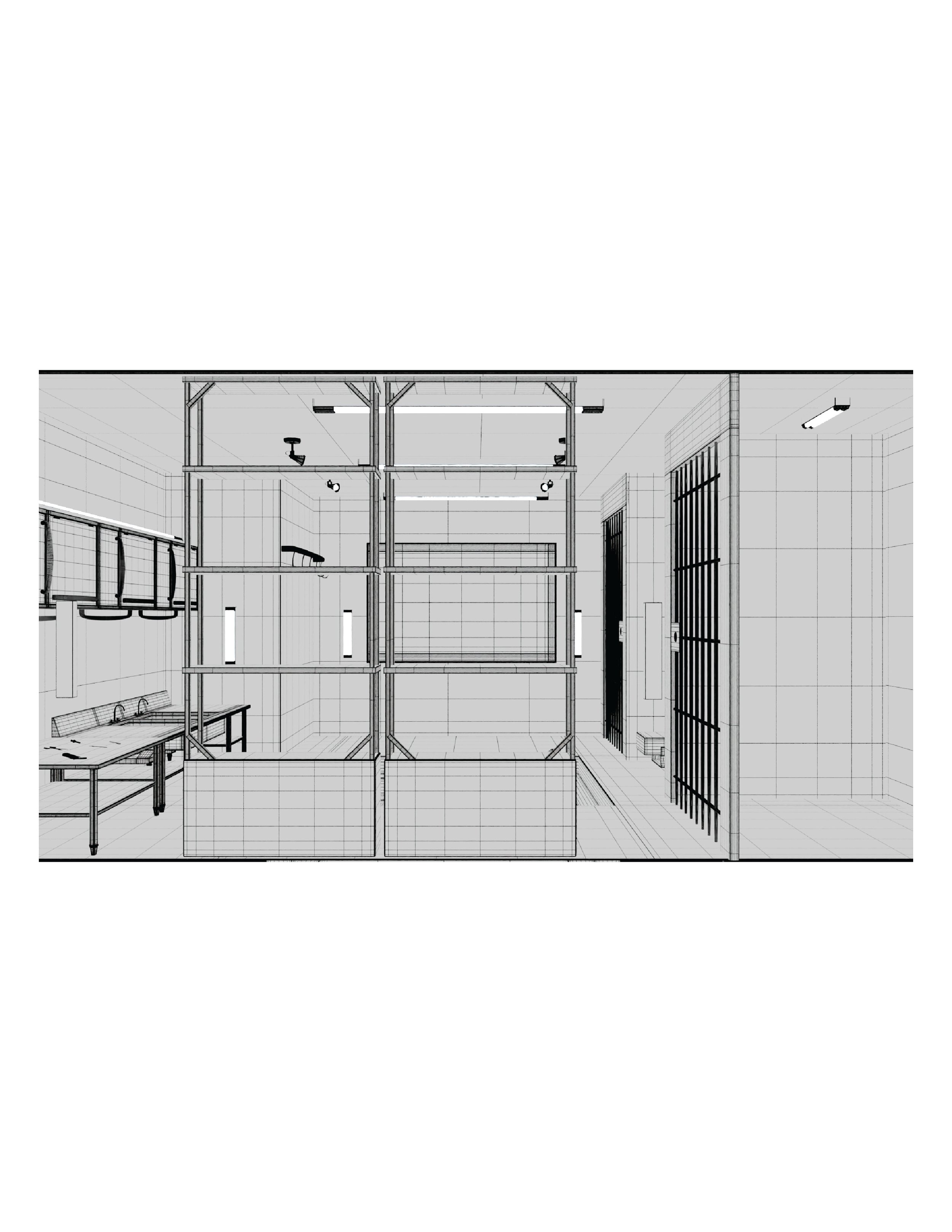 The Chamber Wireframe Render 2