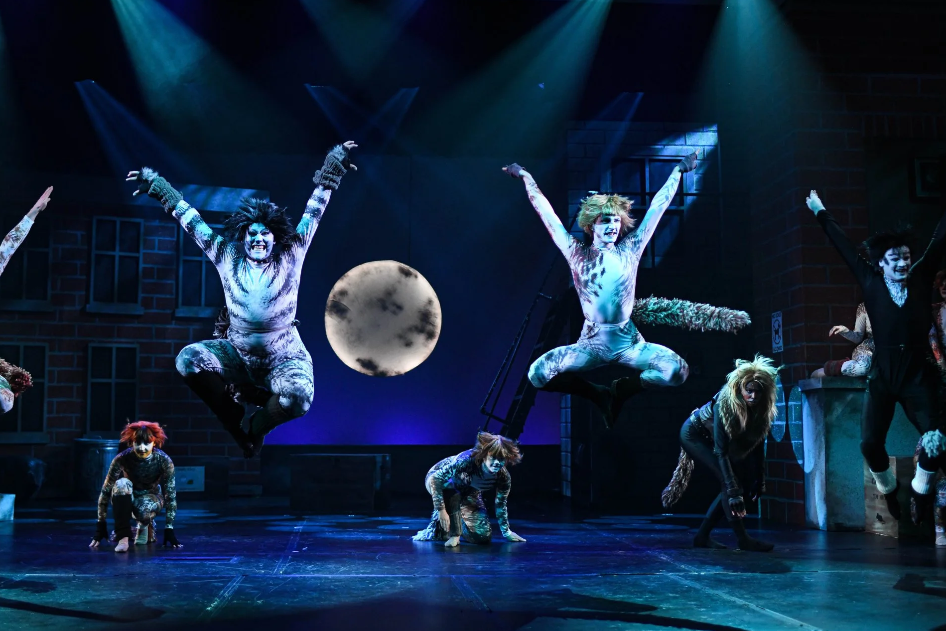 The image shows a theatrical performance with performers in animal costumes, mid-air jumps, and makeup resembling cats. The stage background features a large moon and a building facade, creating a nighttime city scene.