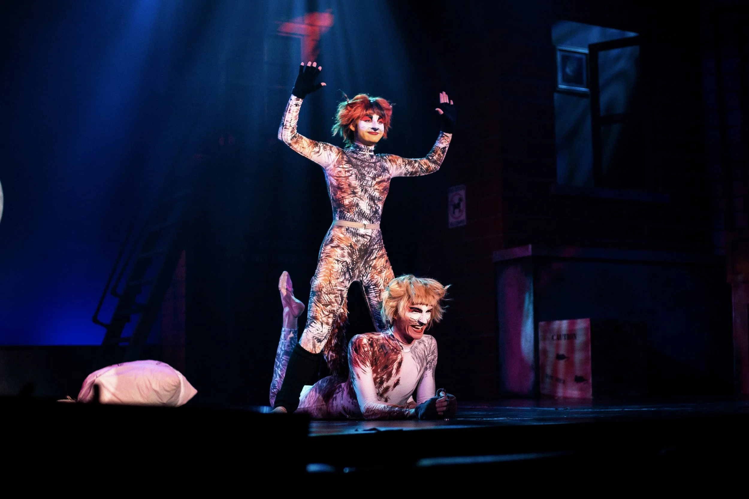 Performers dressed as cats in colorful costumes perform on stage, with one standing on others' shoulders and others on the floor, in a theatrical act.