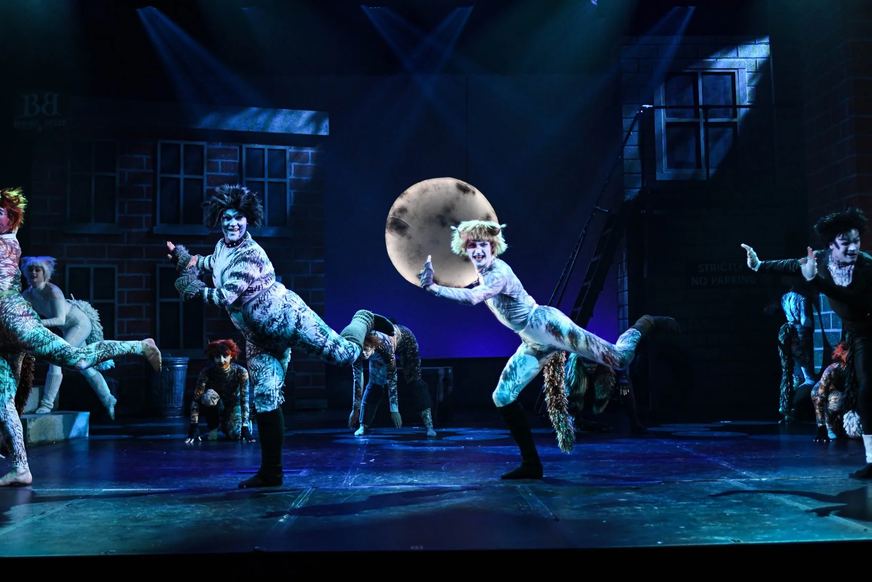 Jackson Thomas-Clark Martin as Bill Bailey in Cats