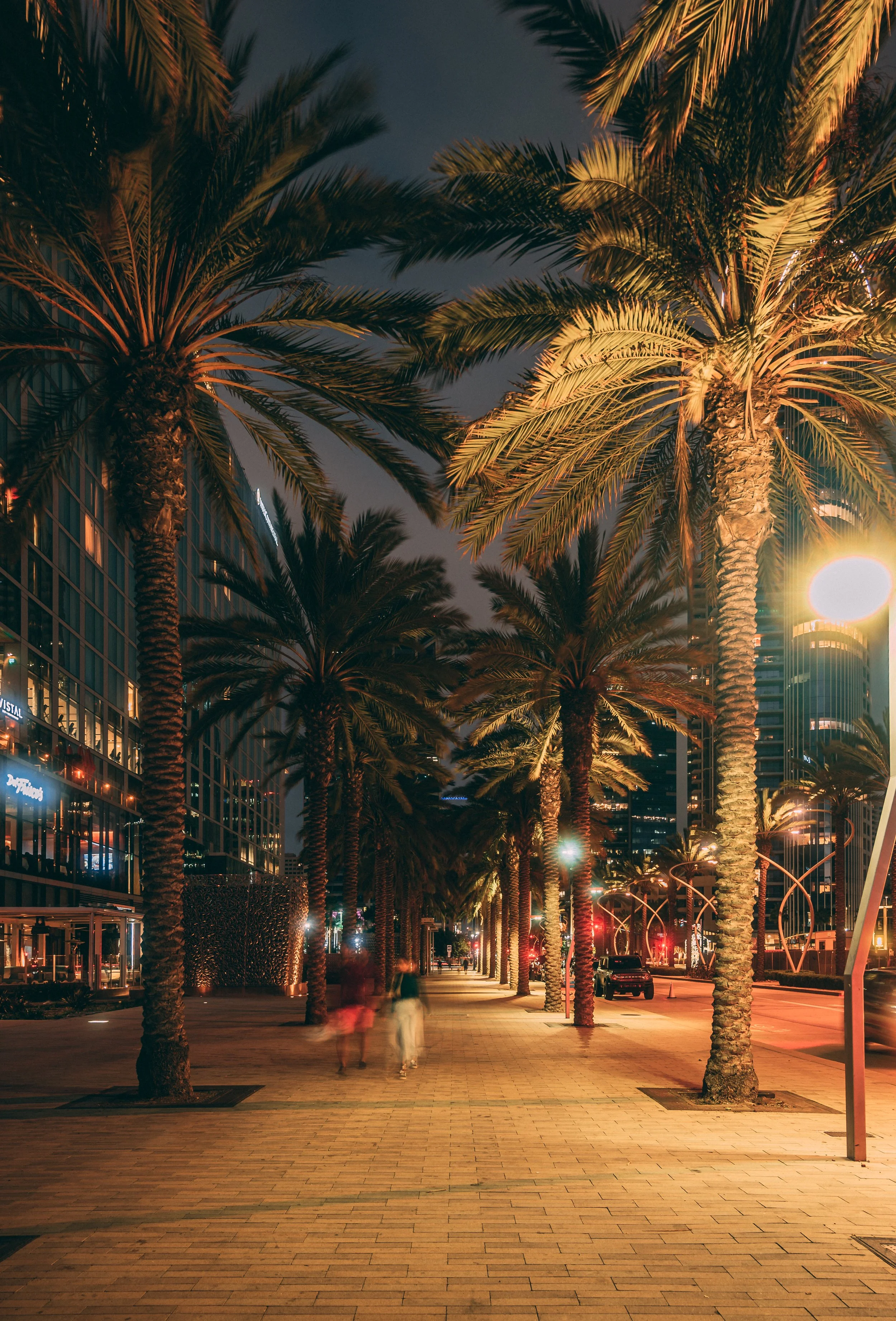 Nighttime city street with illuminated palm trees lining the sidewalk, tall modern buildings, blurred pedestrians, and streetlights.