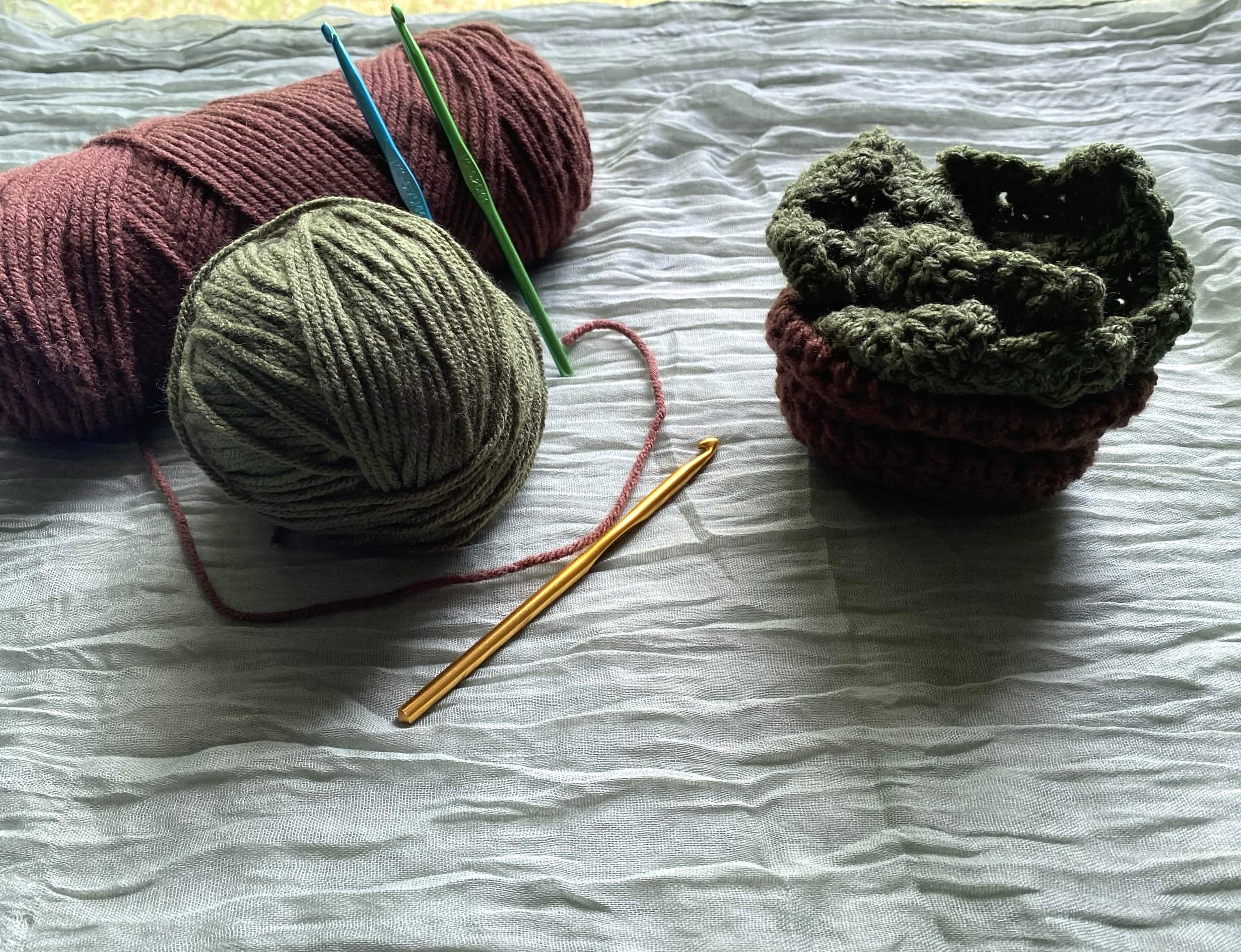 Succulent Coaster Set