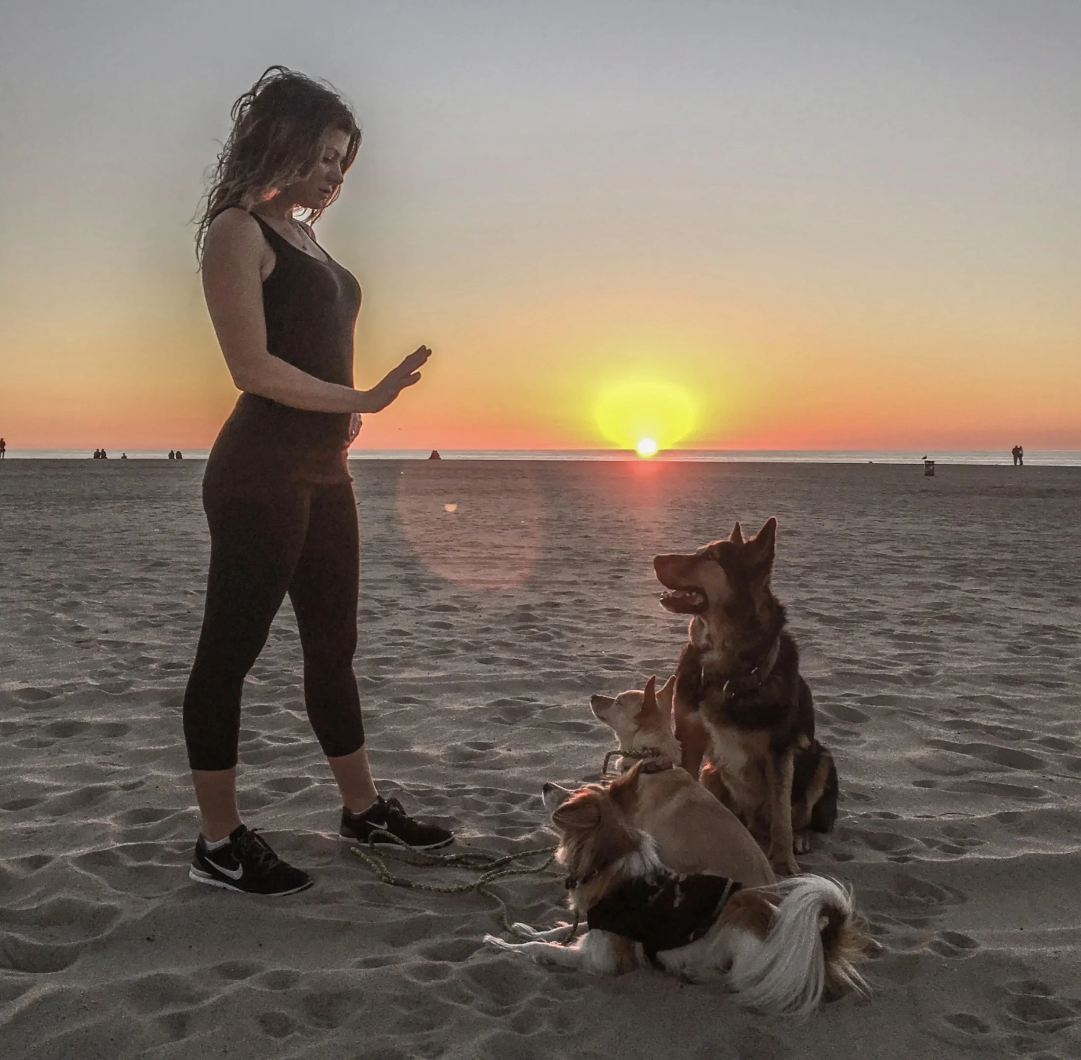 Colleen steckloff from colleen unleashed