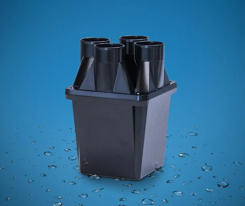 dPoint AX BG Photo.jpg