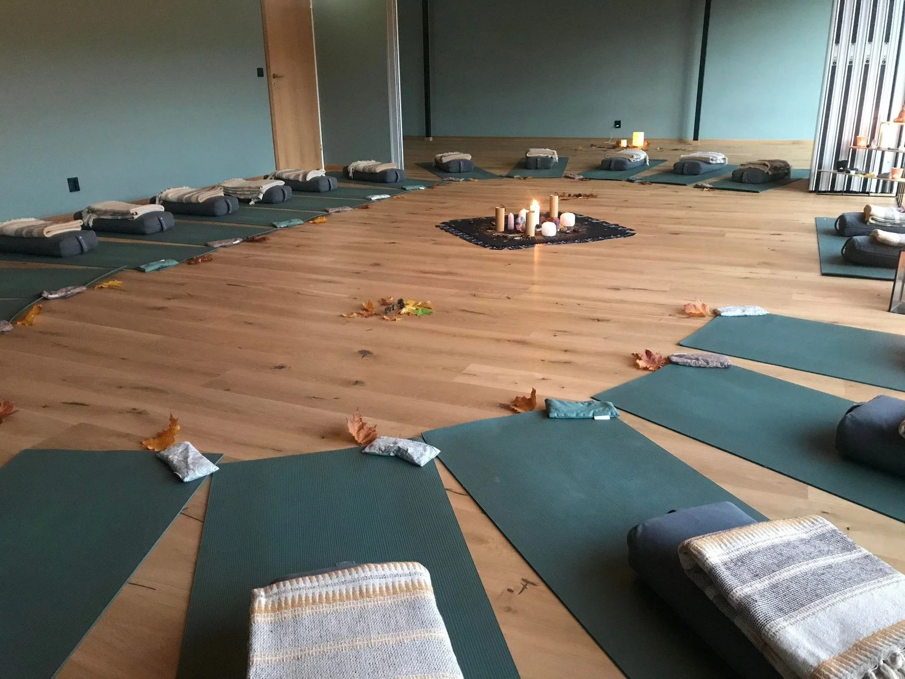 2.5 Hour Bonus Module at Leela Yoga, Oslo