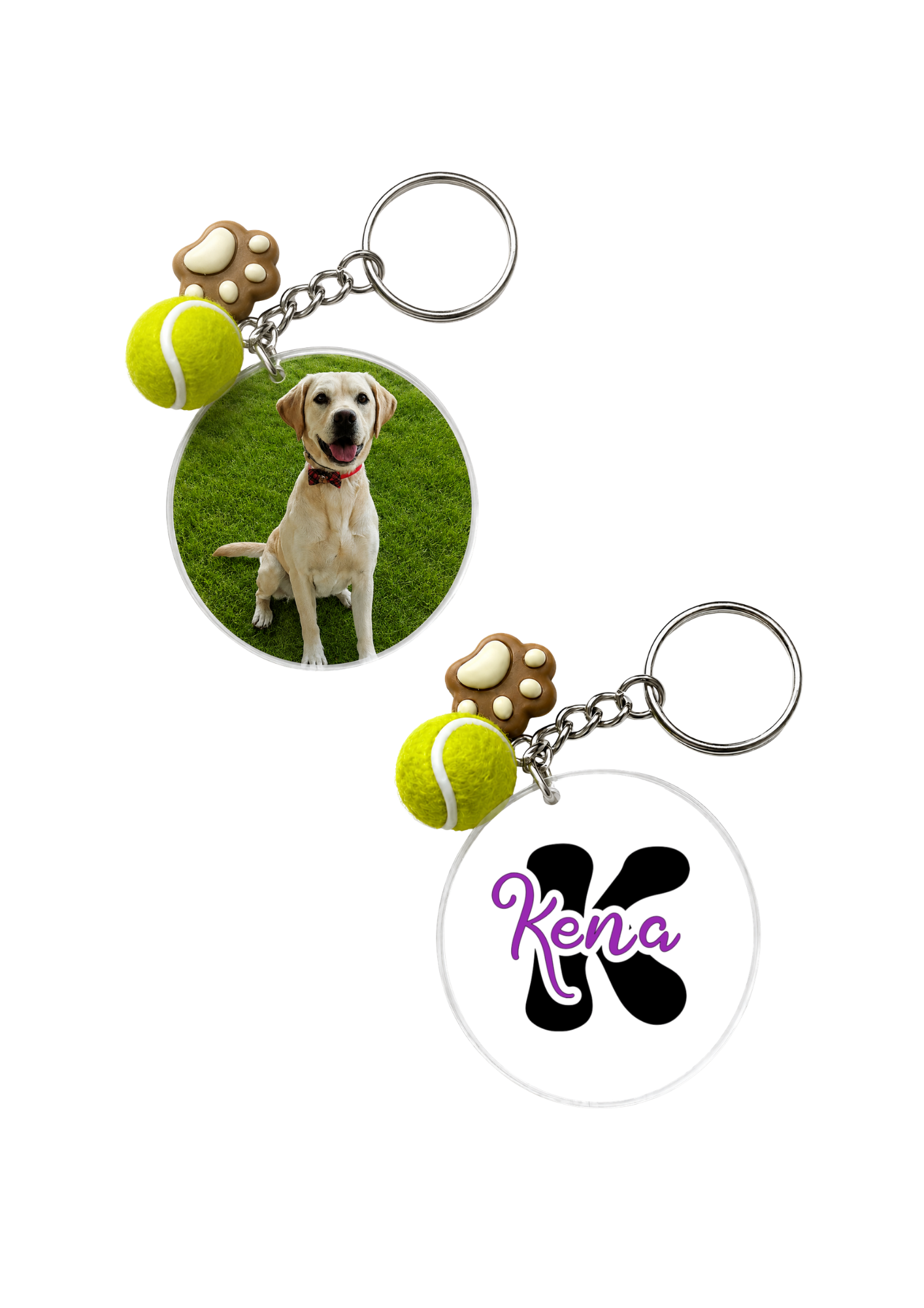 COLECCIÓN MASCOTAS (1).png