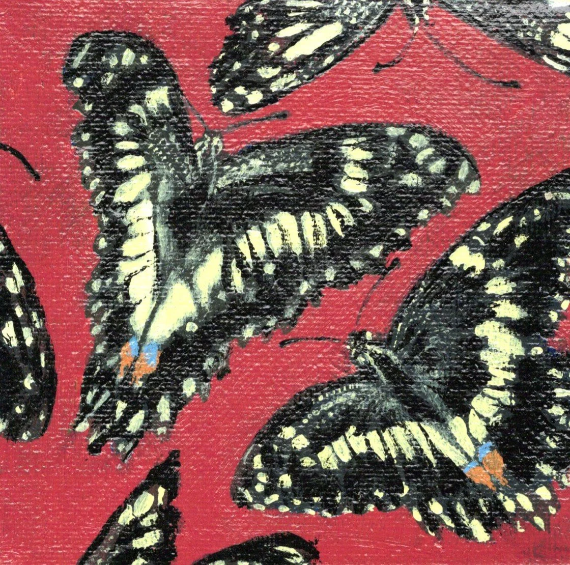 Chequered Swallowtail - Papilio Demoleus (Original Mini)