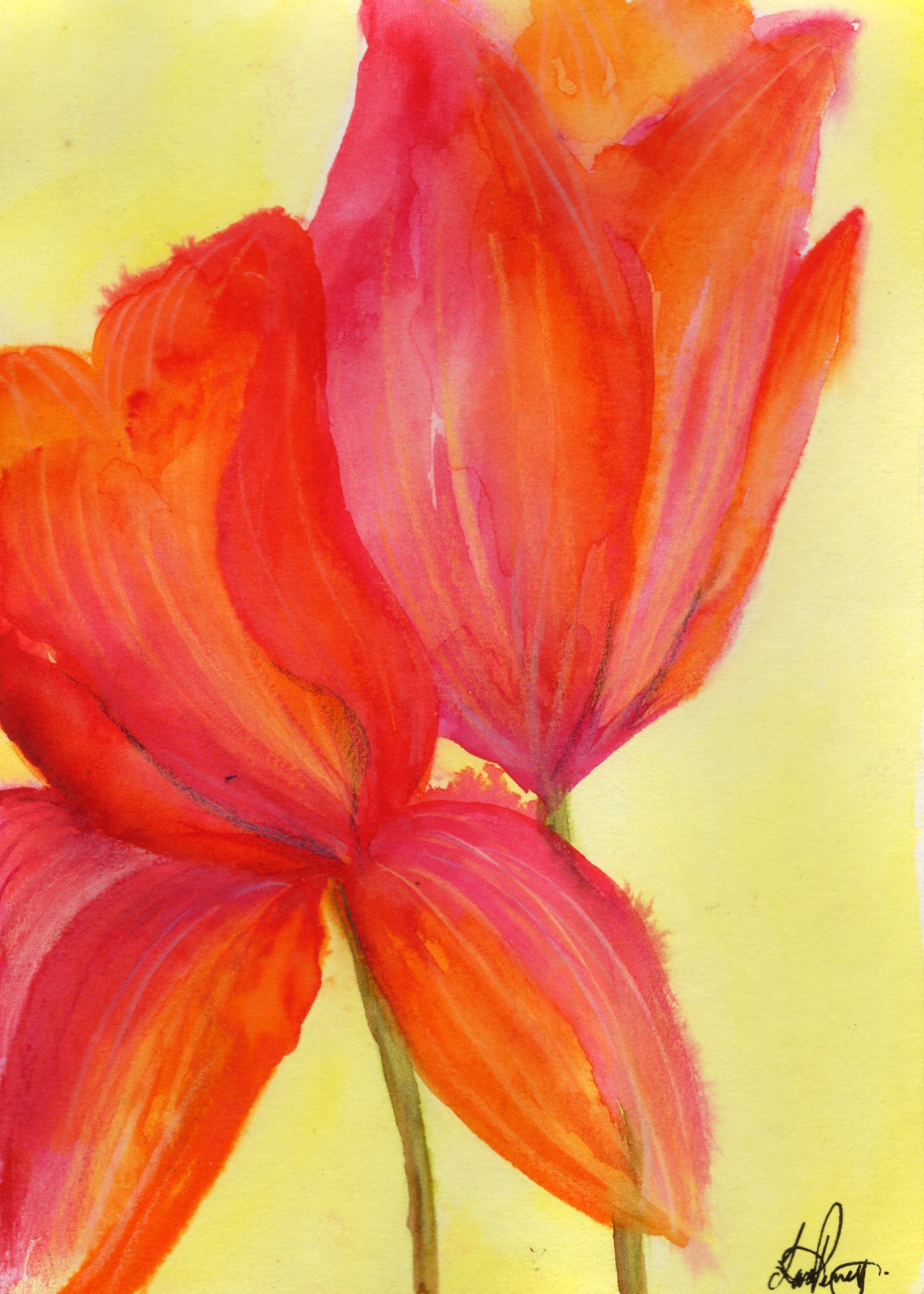 Watercolour Sunset Lily (Original)