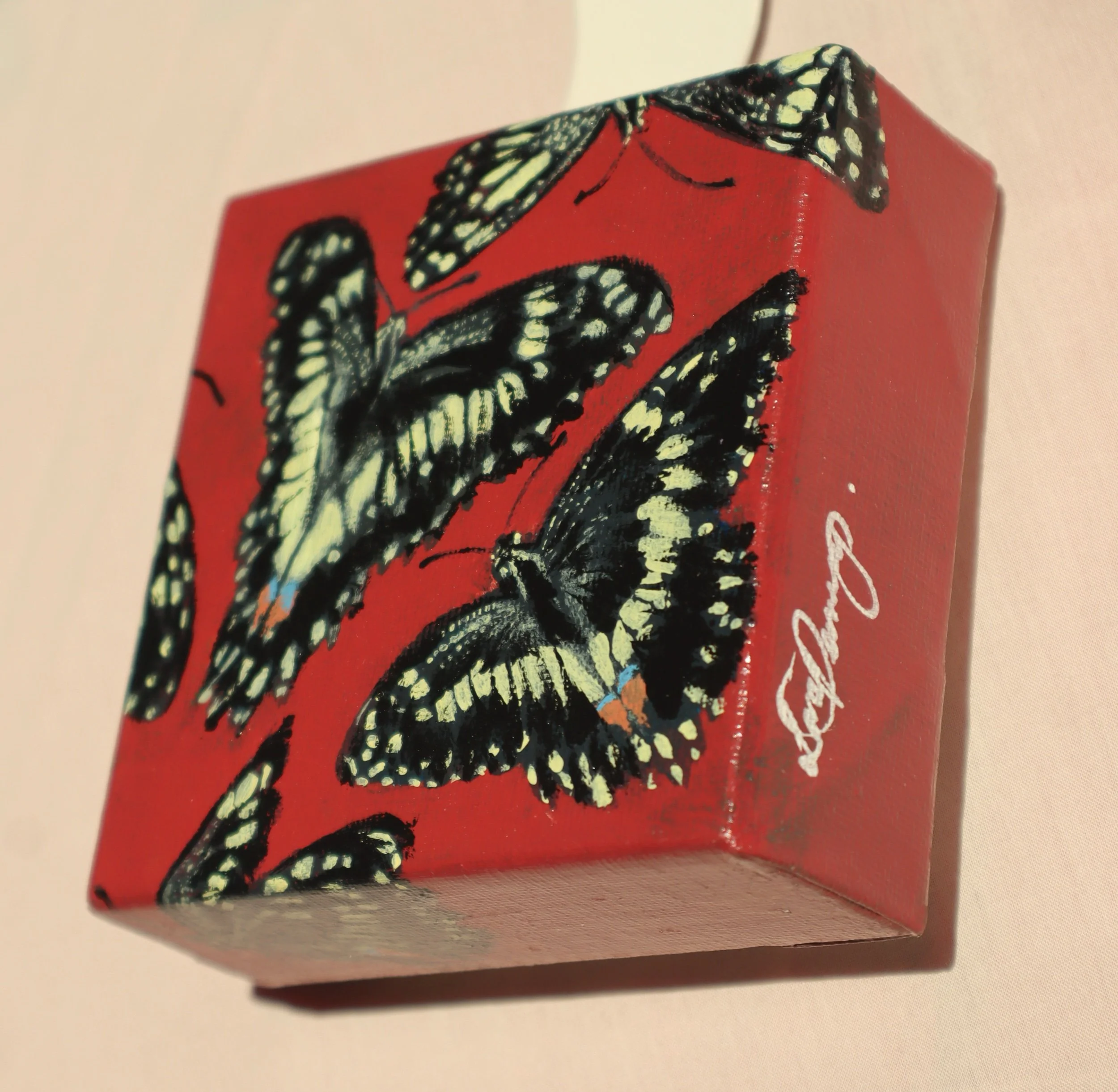 Chequered Swallowtail - Papilio Demoleus (Original Mini)