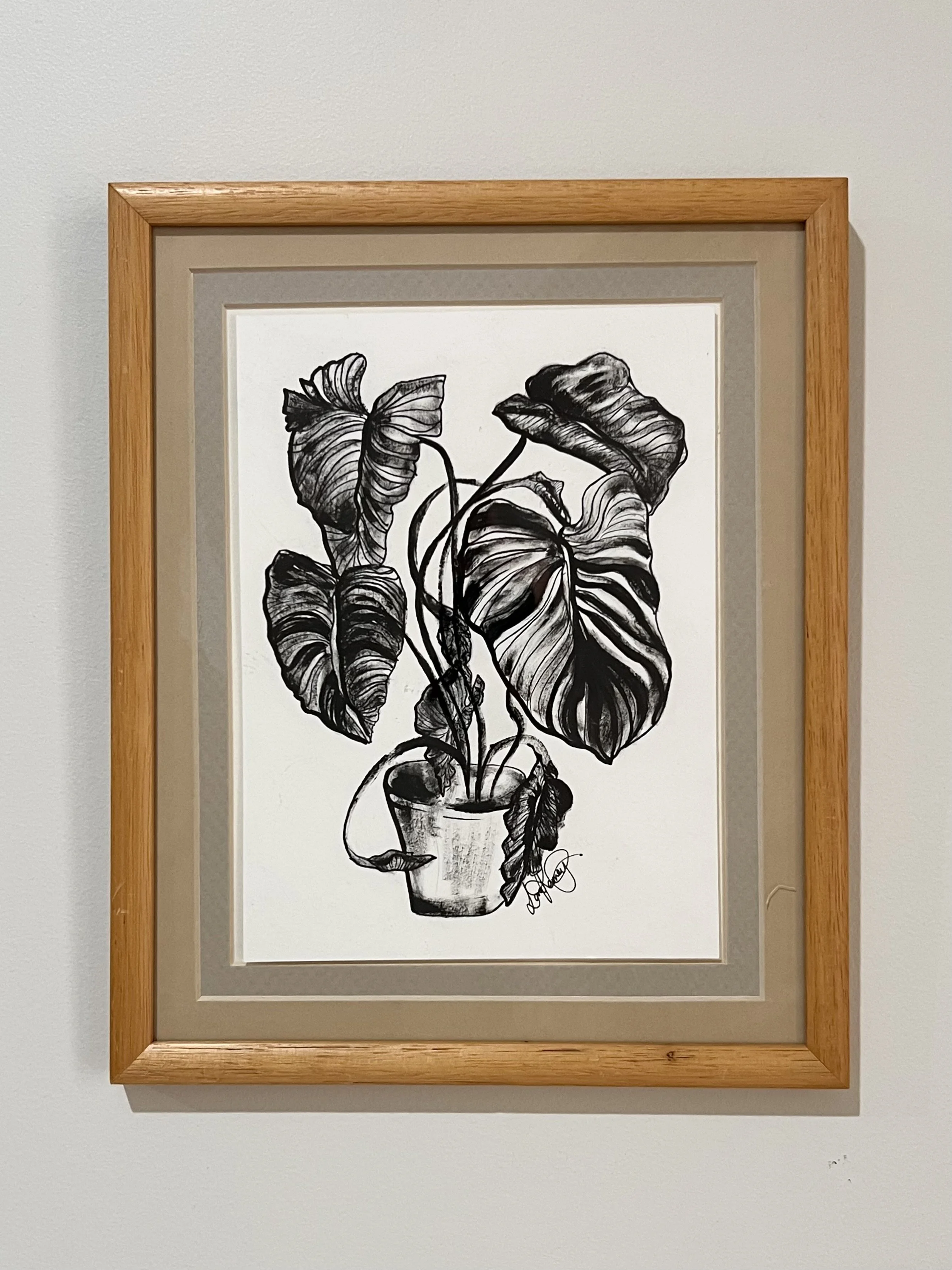 B&W Philodendron (Original) -Framed