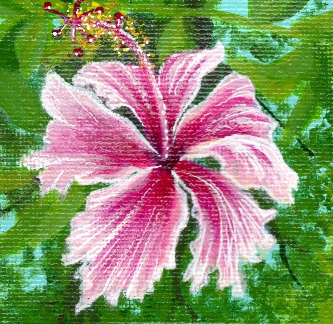 Miss Hibiscus (Original Mini )