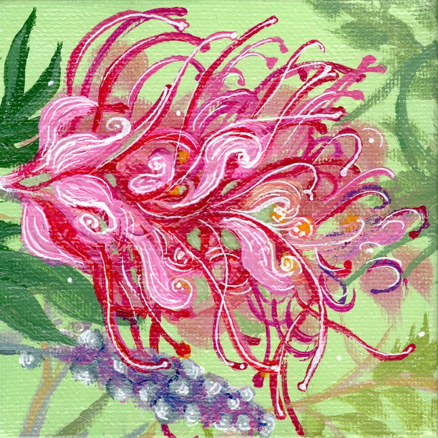 Grevillea (Original Mini)