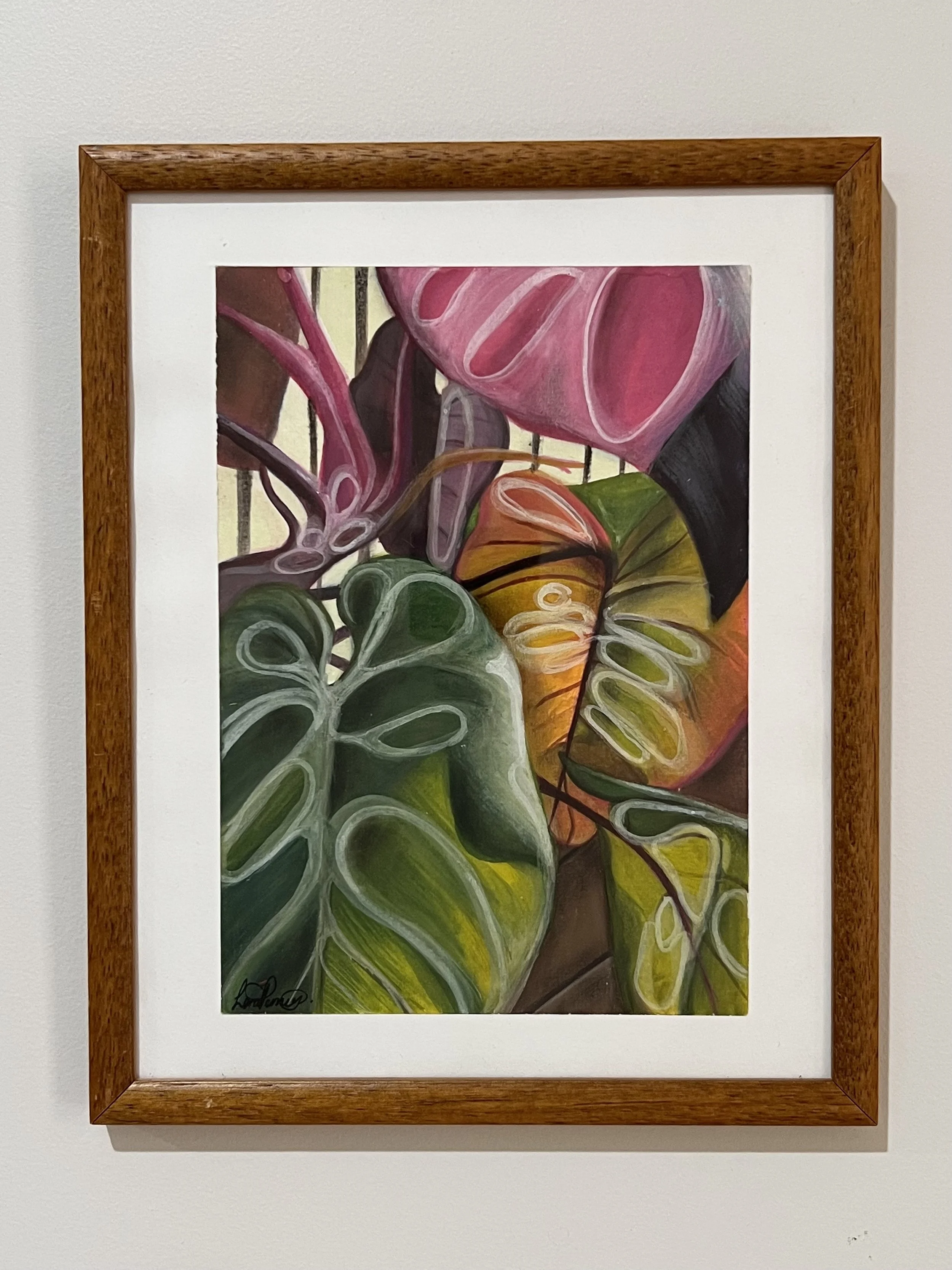 Pink Princess - Philodendron (Original) - Framed