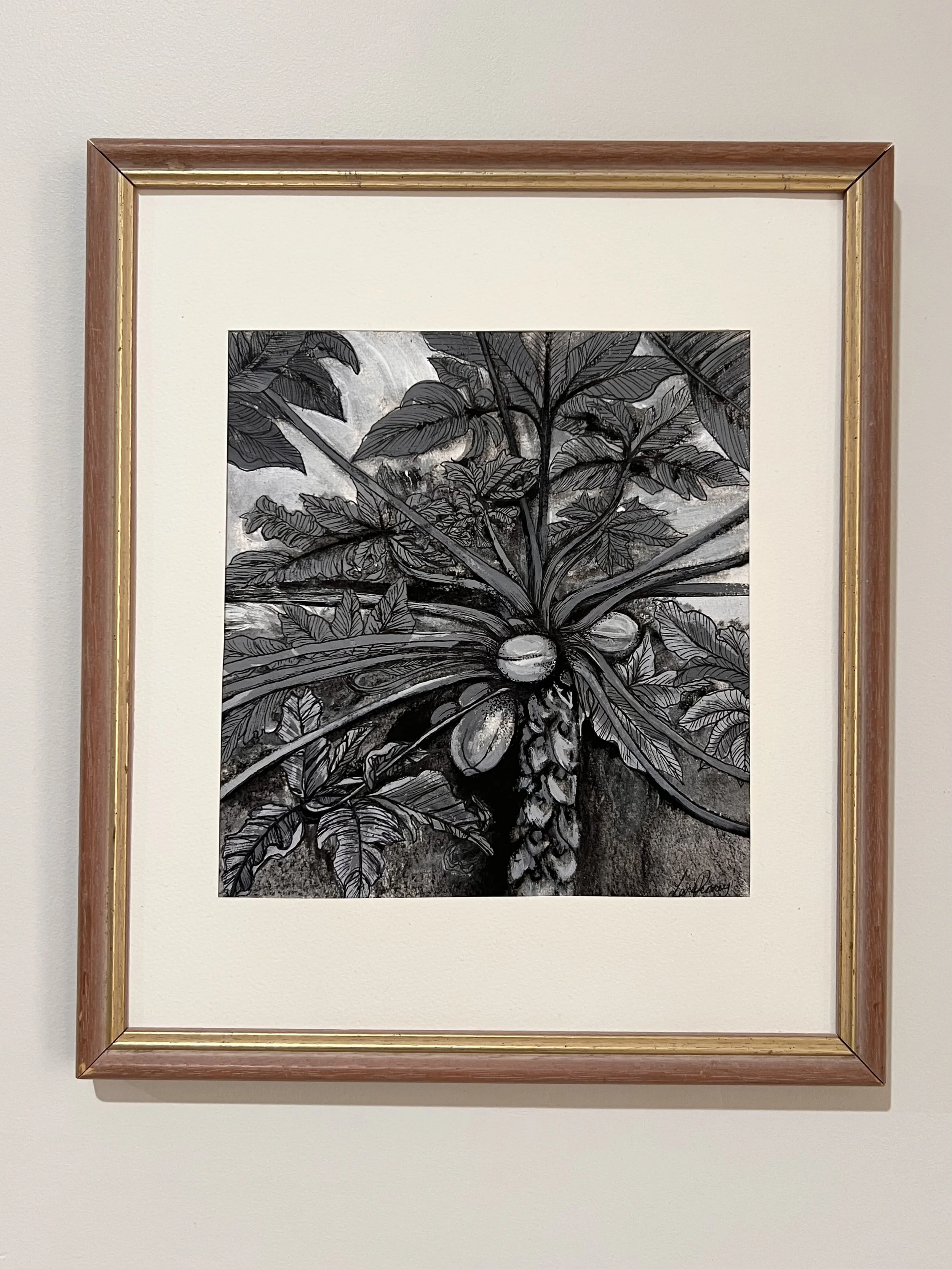 Pawpaw (Original) -Framed