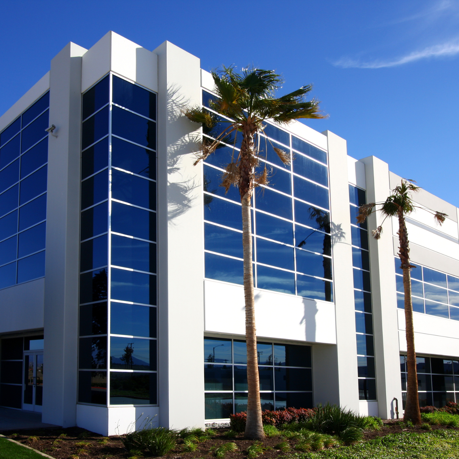 Modern white office building with reflective blue glass windows and palm trees under a clear blue sky