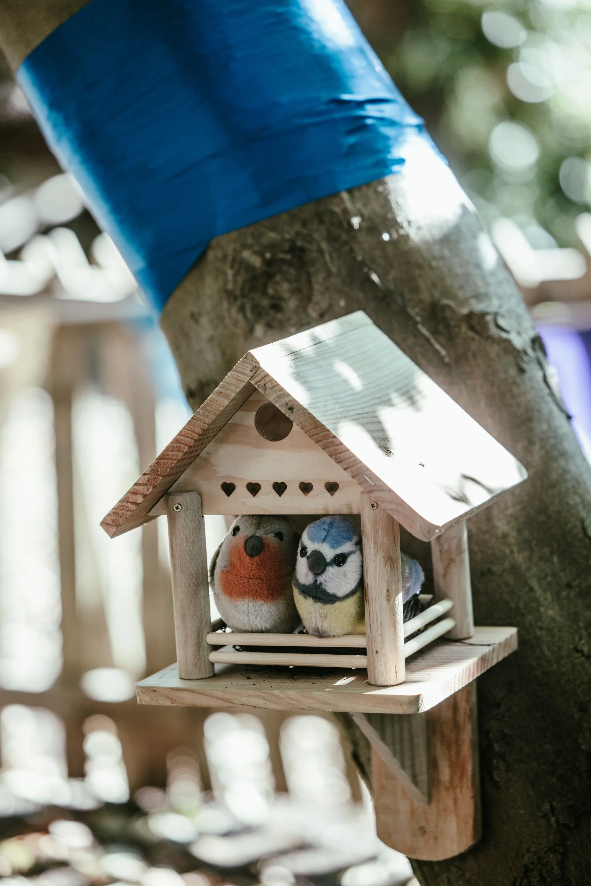 sunburygardenplay-9.jpg