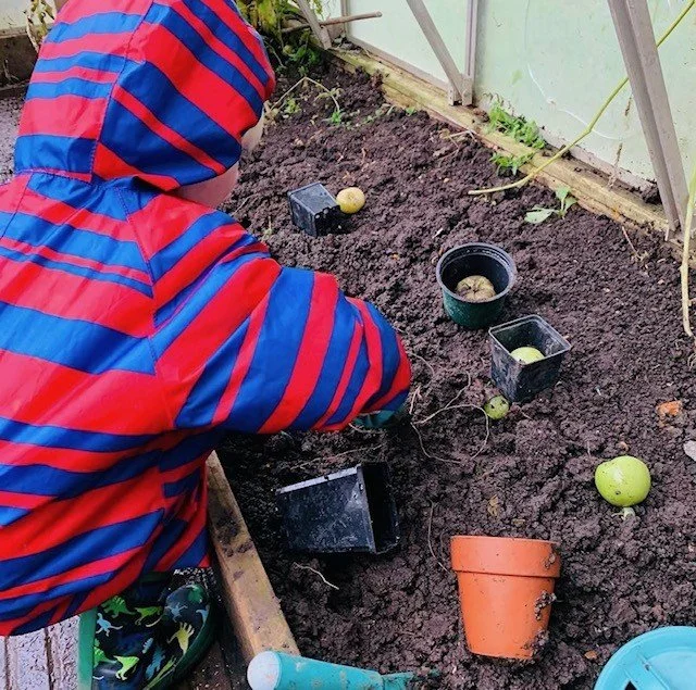 Gardening