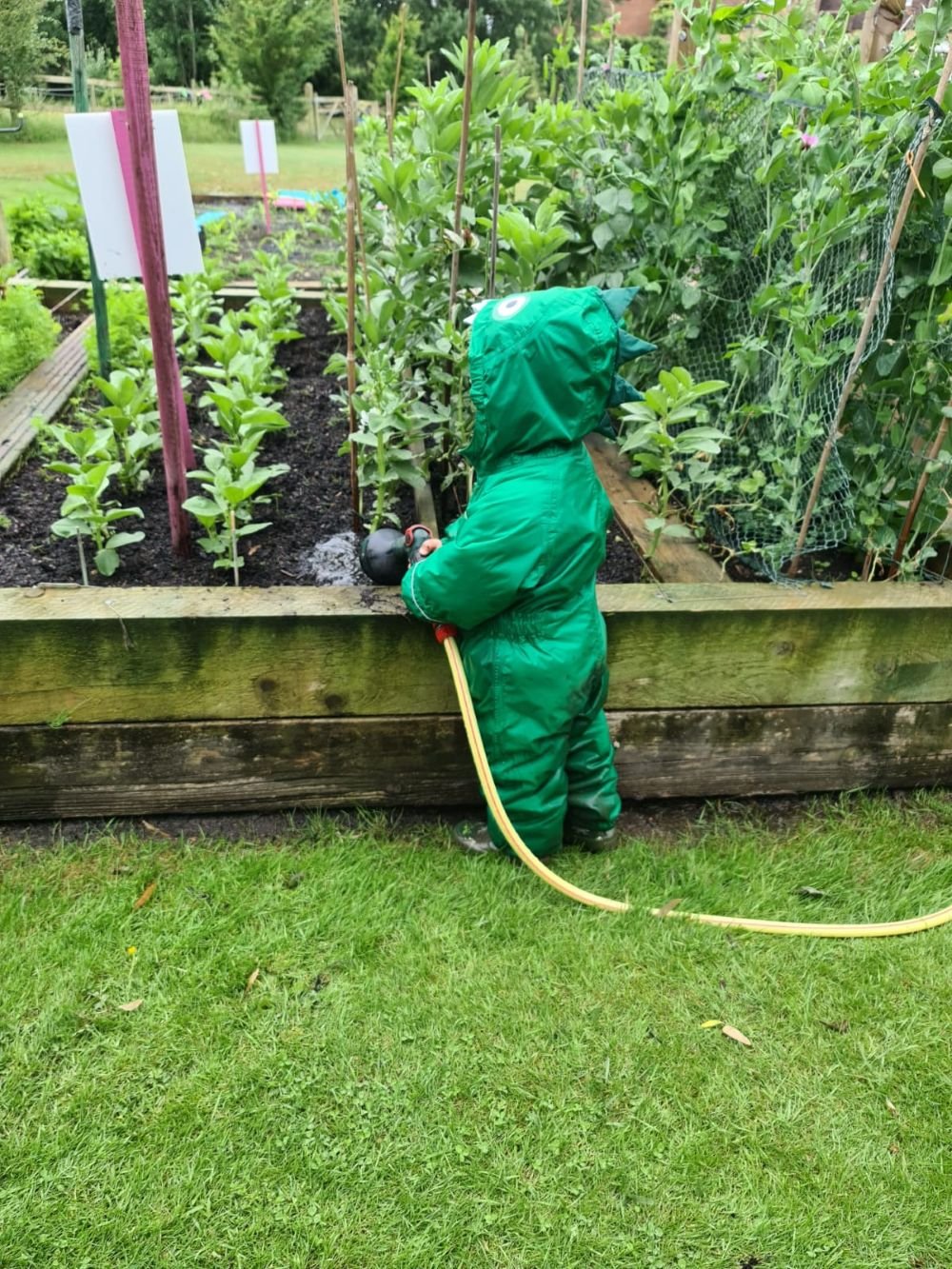 Vegetable patch