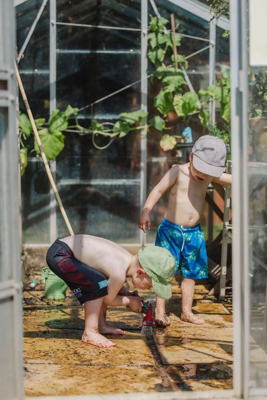 Greenhouse