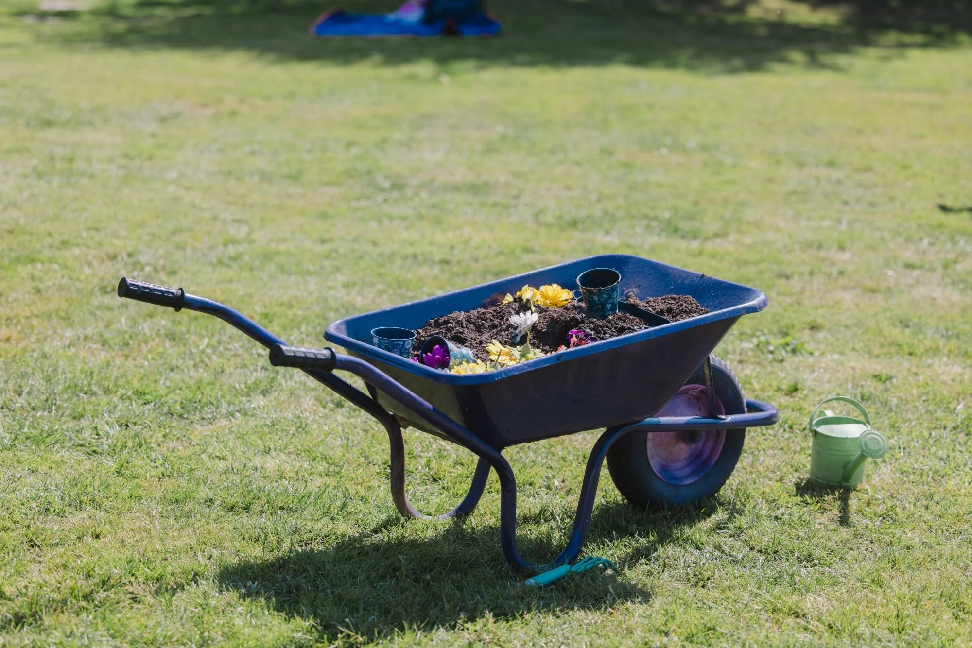sunburygardenplay-118.jpg