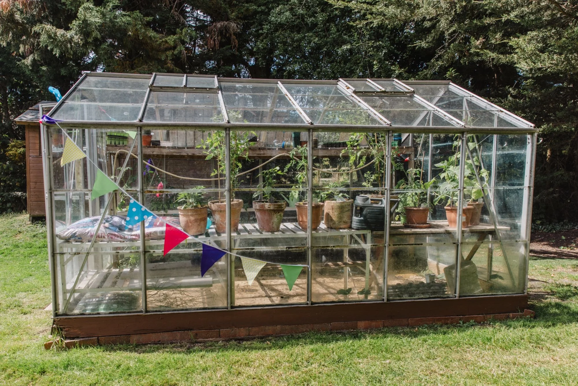 sunburygardenplay-291.jpg