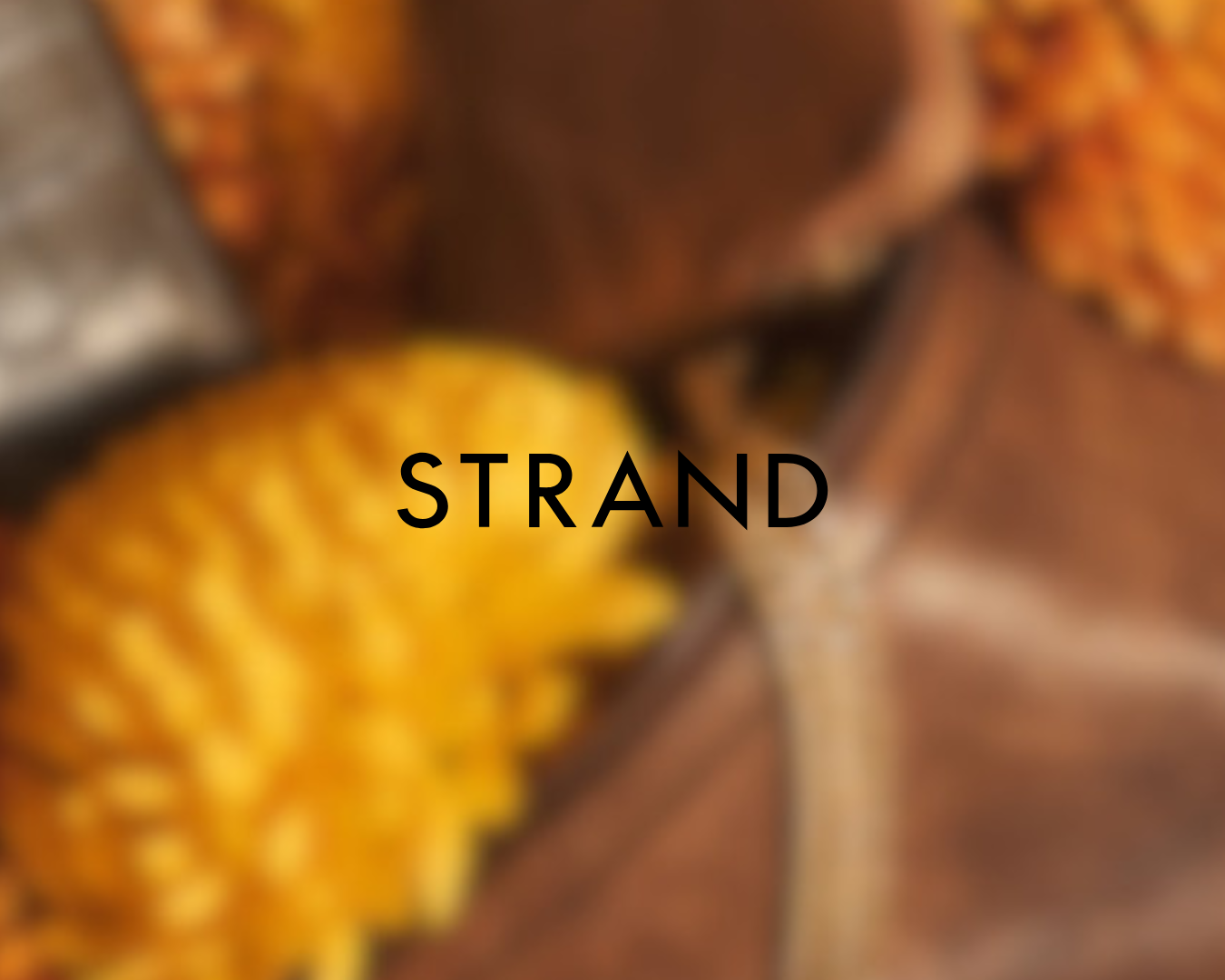 Close-up of a textured yellow pumpkin, with the word 'STRAND' overlaid on the image.