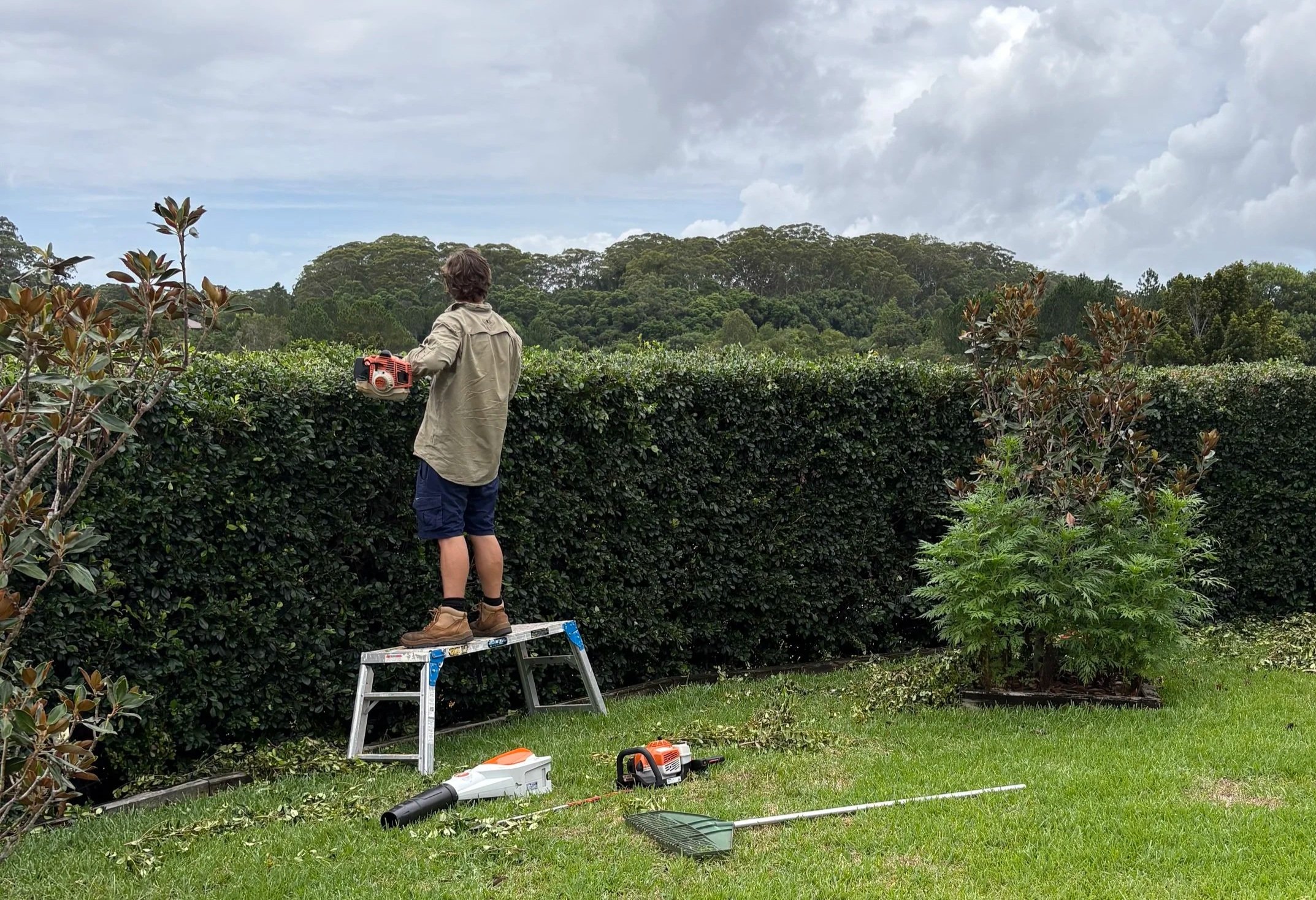 A person standing on a ladder trimming a hedge with a hedge trimmer in a backyard. Gardening tools, including a leaf blower, a small chainsaw, and a rake, are on the grass nearby. There are trees and a cloudy sky in the background.