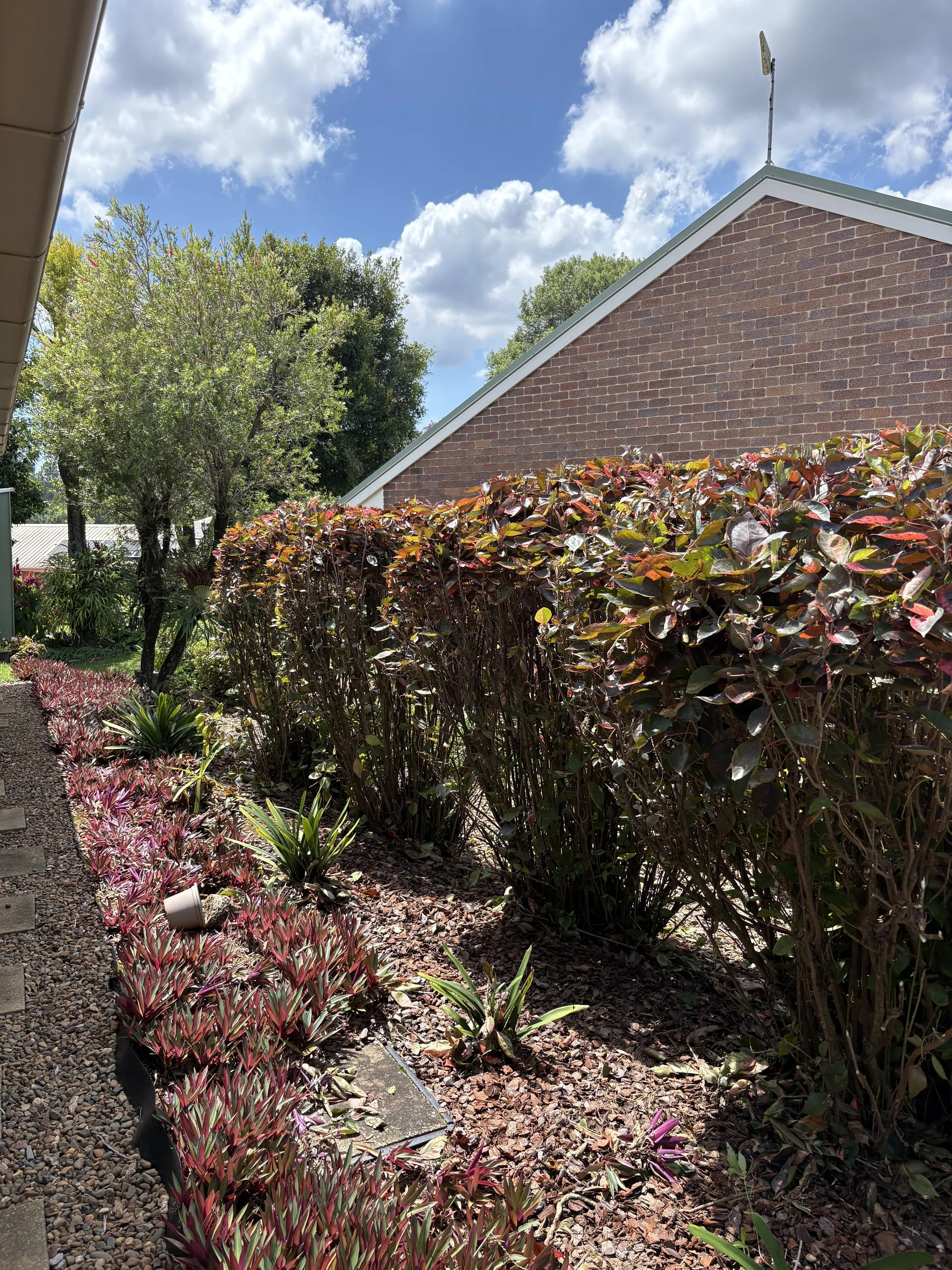 A garden with neatly trimmed bushes, small plants, and decorative gravel, adjacent to a brick house with a sloped roof and a weather vane, under a partly cloudy sky.